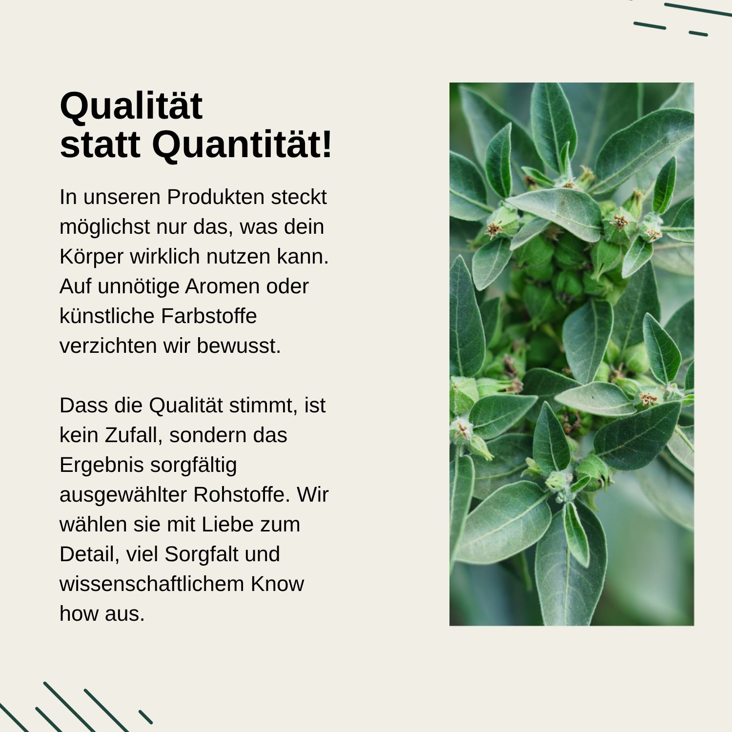 Vita Elements Ashwagandha (KSM-66®) Kapseln