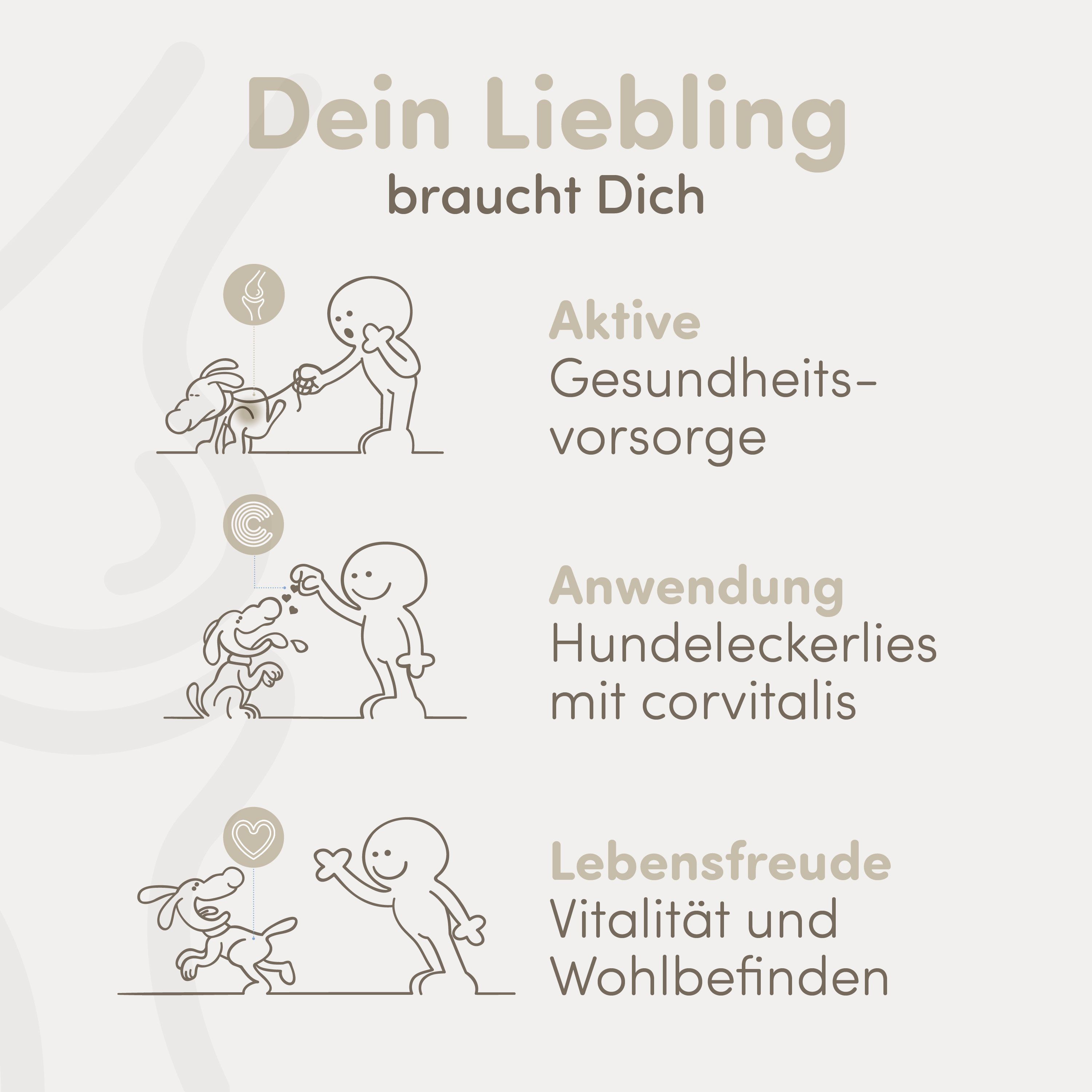 Illustrationen: Hund und Mensch interagieren. Text: Aktive Gesundheitsvorsorge, Anwendung Hundeleckerlies, Lebensfreude.