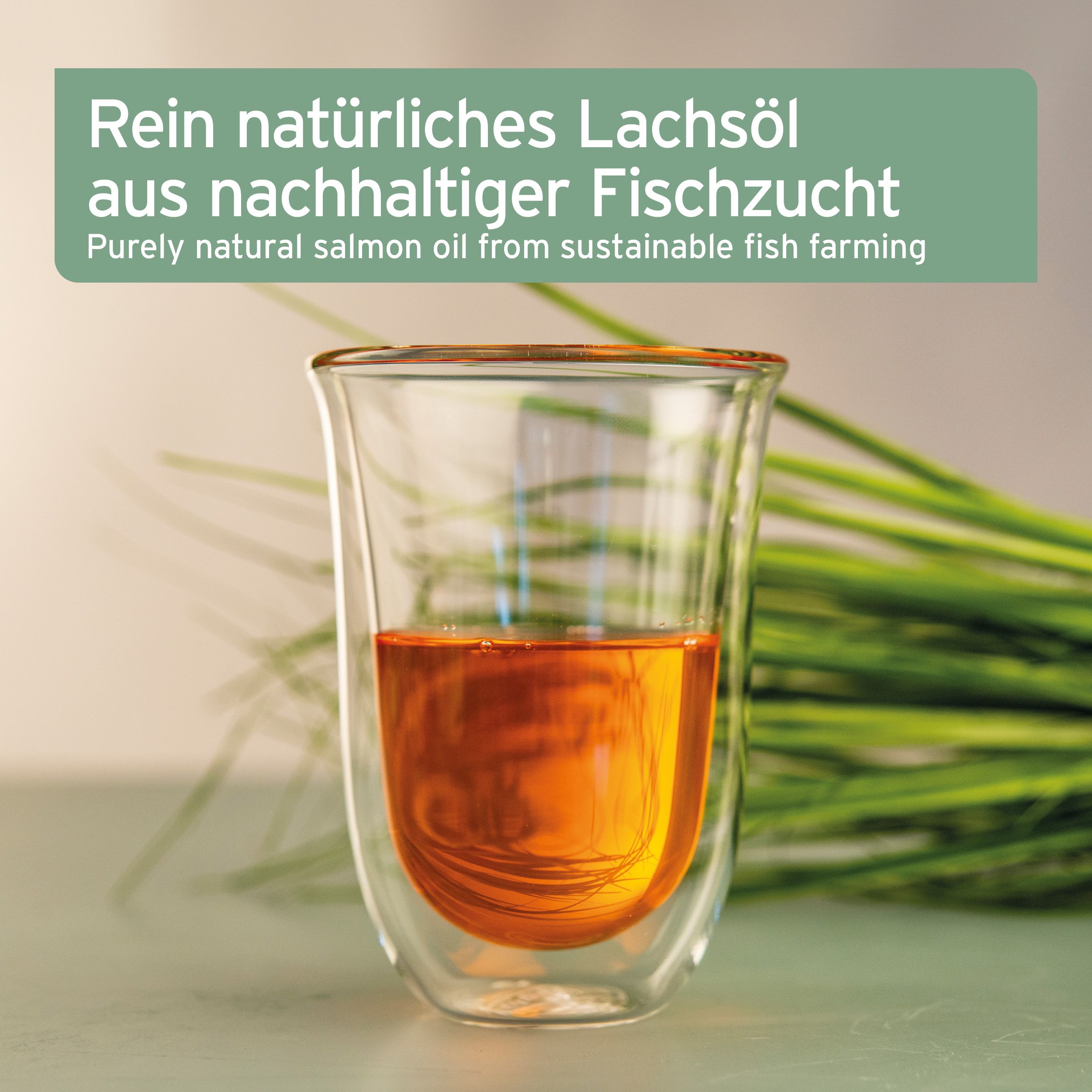 AniForte Lachsöl Salmon Oil