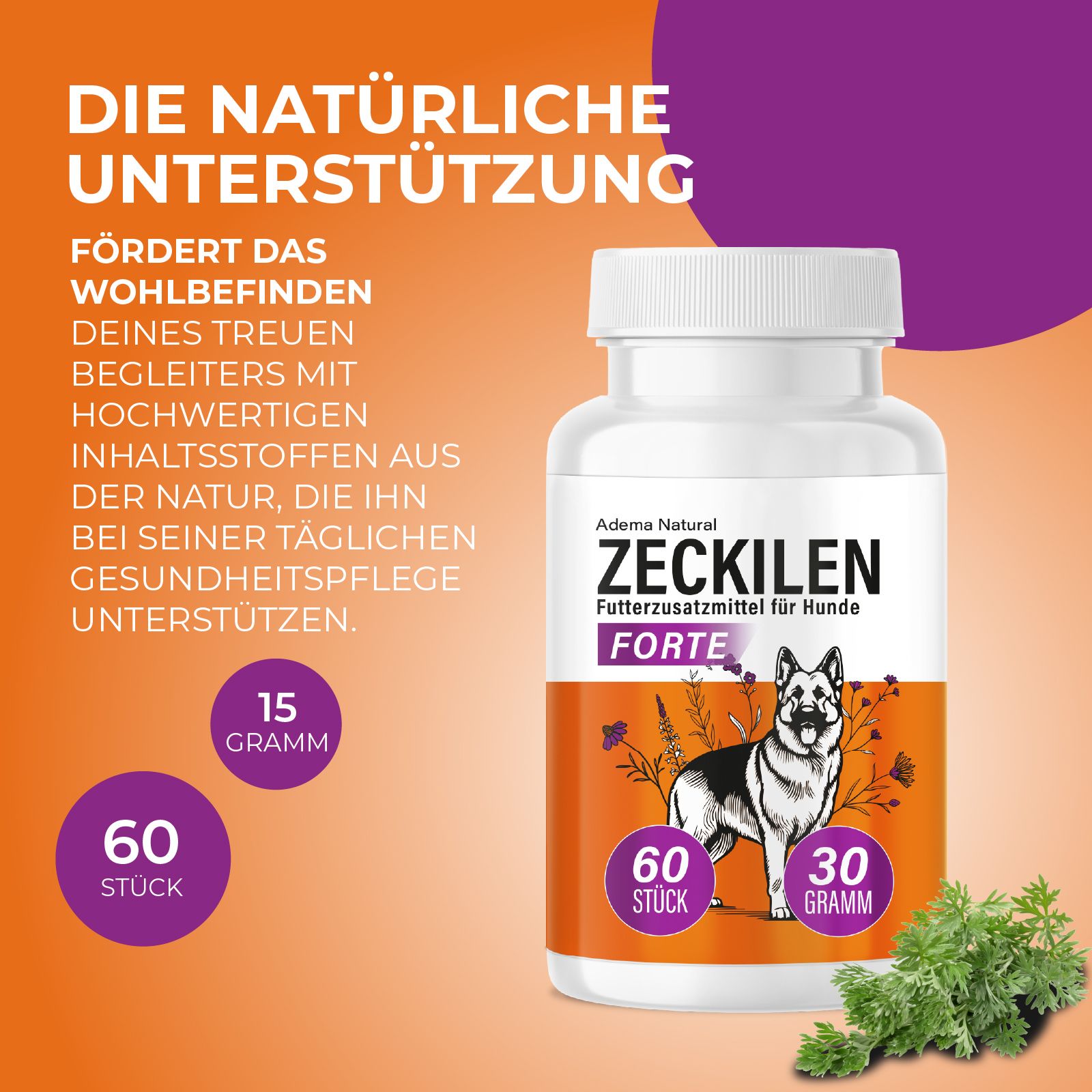 Adema Natural® Zeckilen Forte Blister | Zecken Tabletten ausschließlich für Hunde