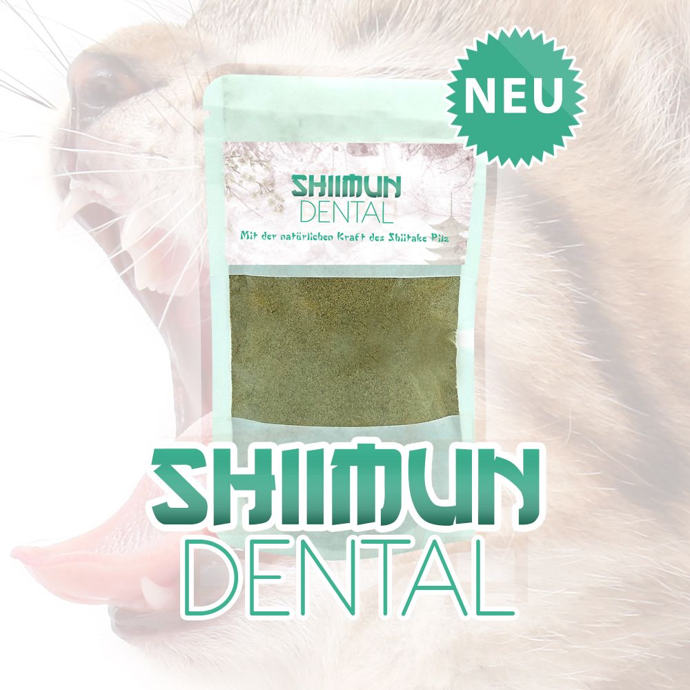 I love my cat Nahrungsergänzungs für Katzen mit Shiitake - Shiimun Dental Pulver