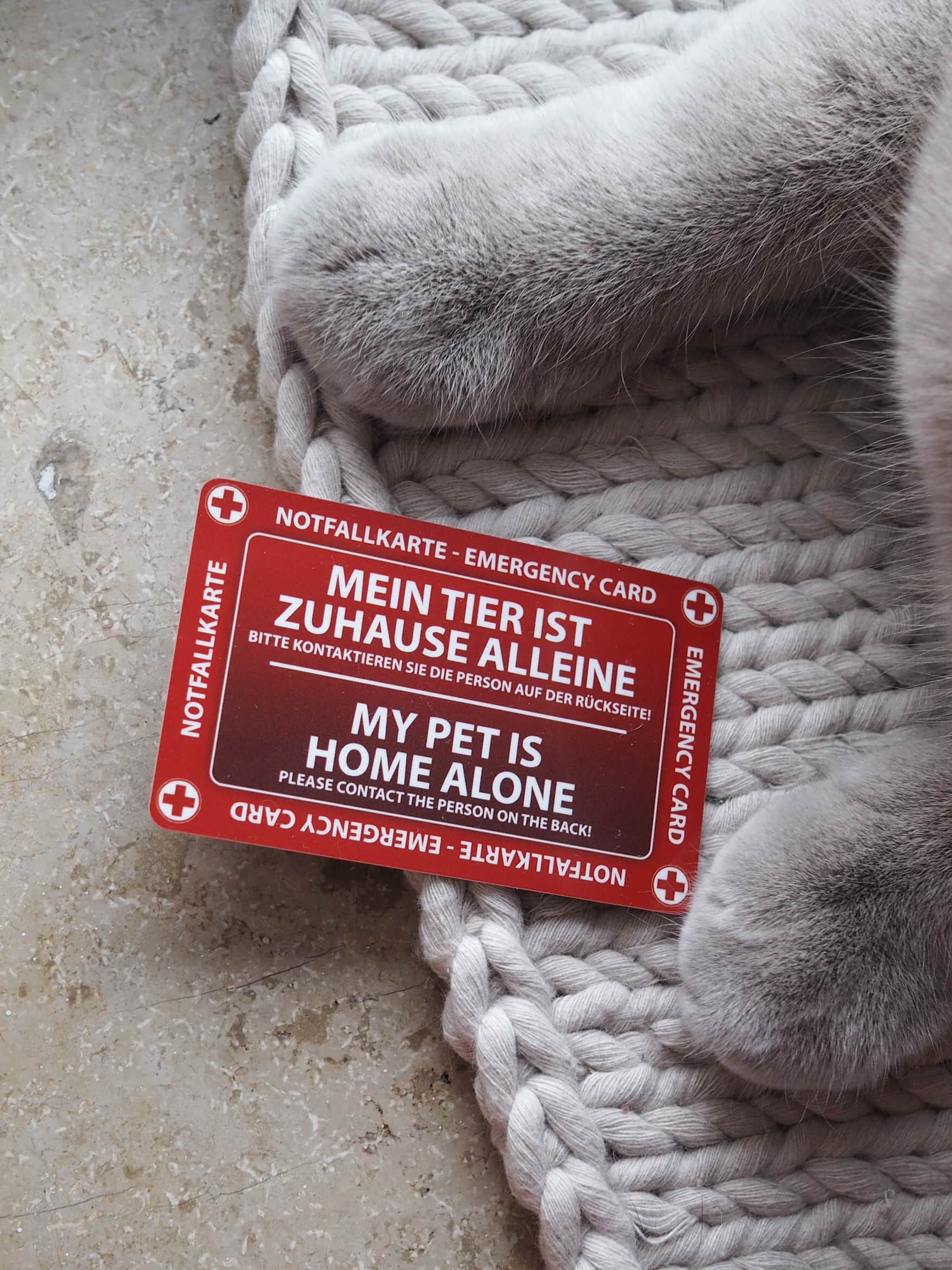 I love my cat Notfallkarte für Katzen