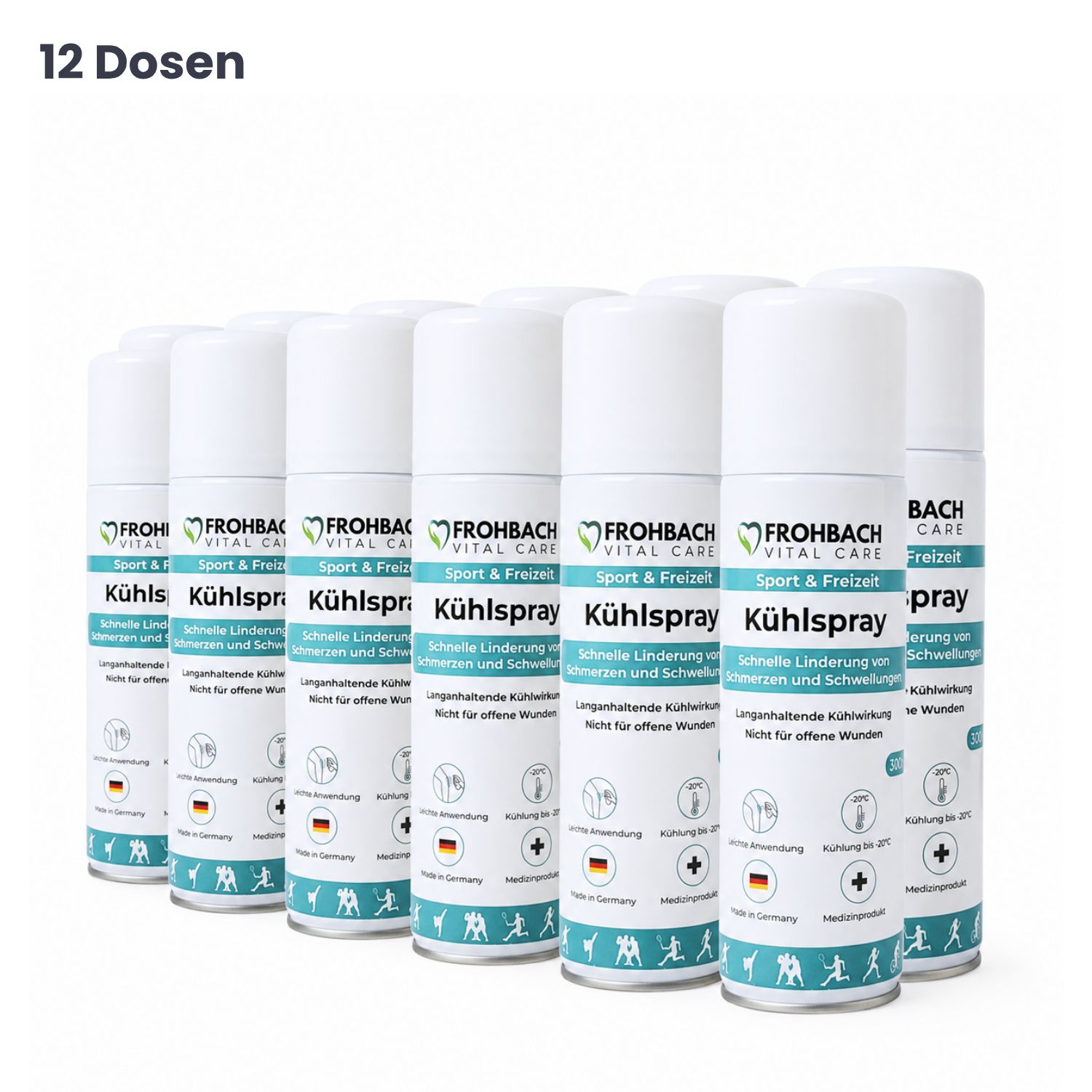 Frohbach Kühlspray 12x300 ml Spray