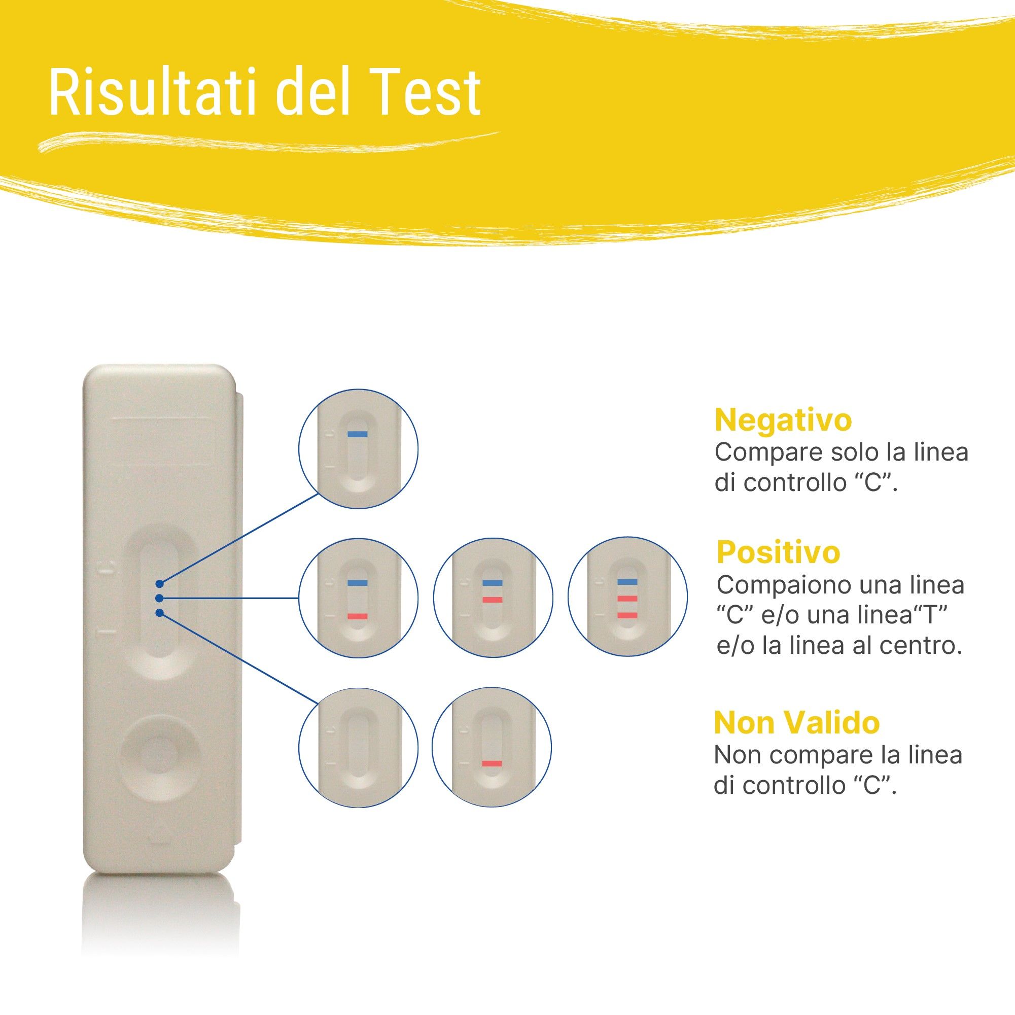 Risultati del test: Negativo, Positivo, Non valido. Risultati del test della funzionalità epatica con linee colorate.
