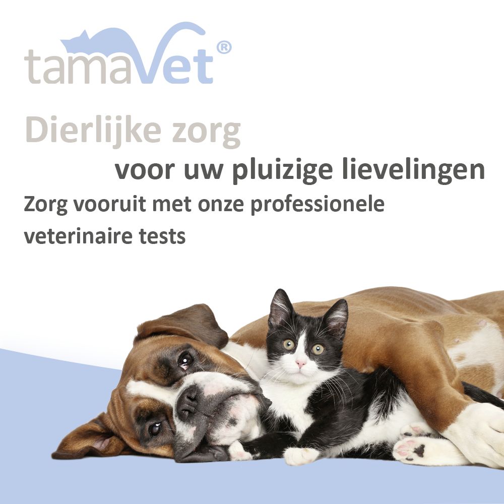 Hond en kat samen. Tekst: Dierlijke zorg voor uw pluizige lievelingen. Professionele veterinaire tests.