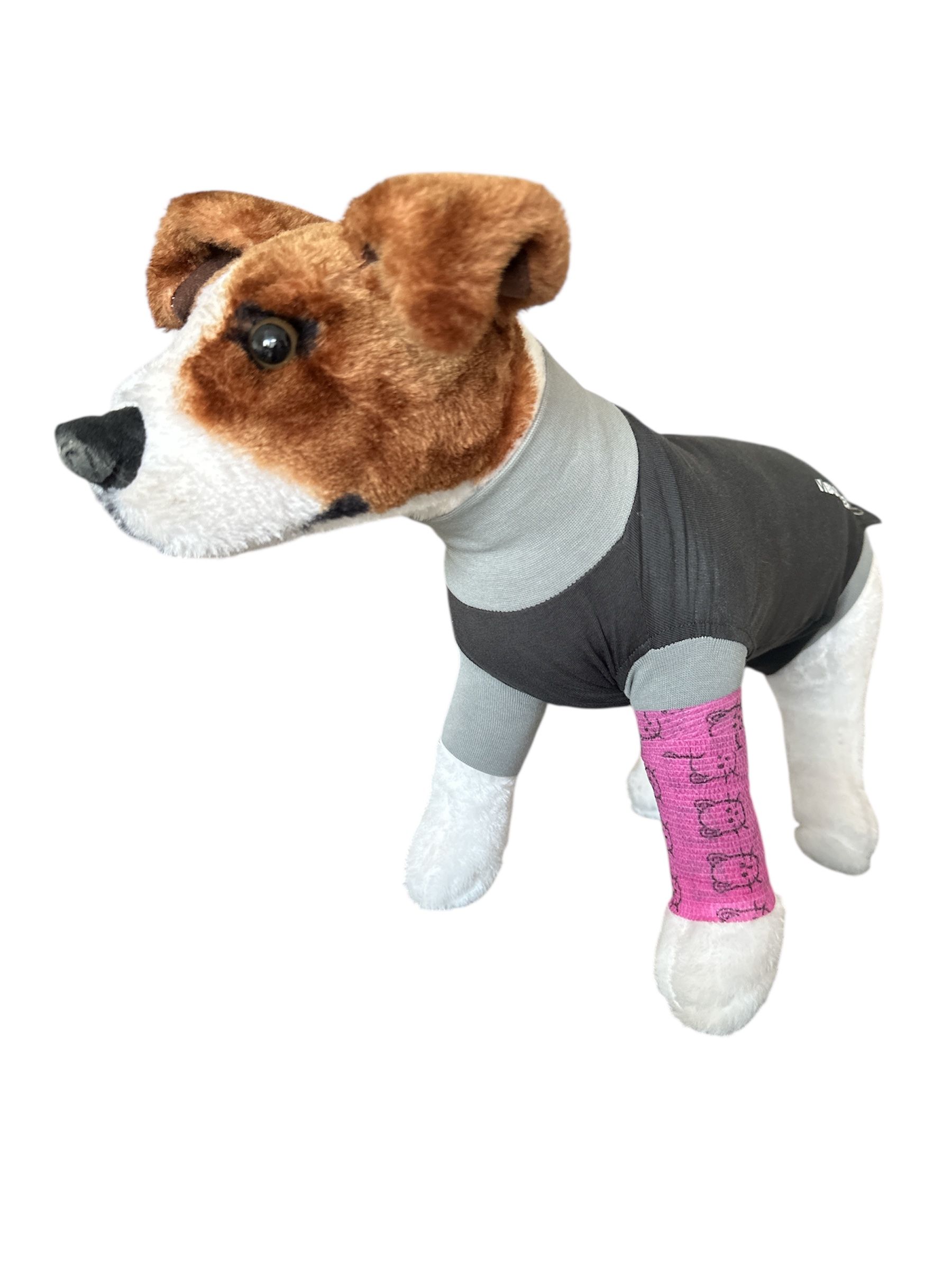 Hunderasse mit bandagiertem Bein. Rosa Bandage mit Katzenmotiv am Bein. Hund trägt Kleidung.