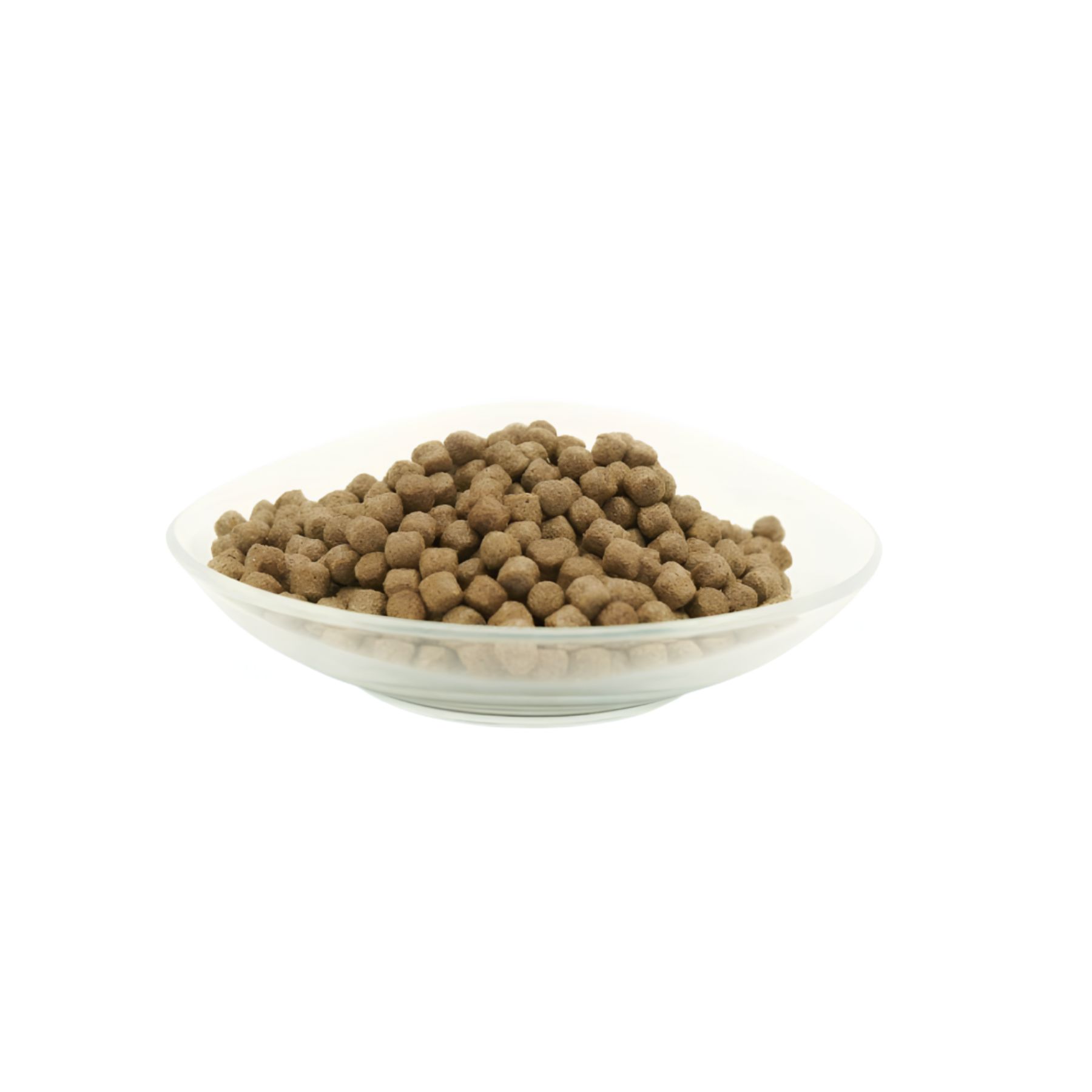 Kleine, runde Pellets in einer transparenten Schale. Futter für Koi-Fische.