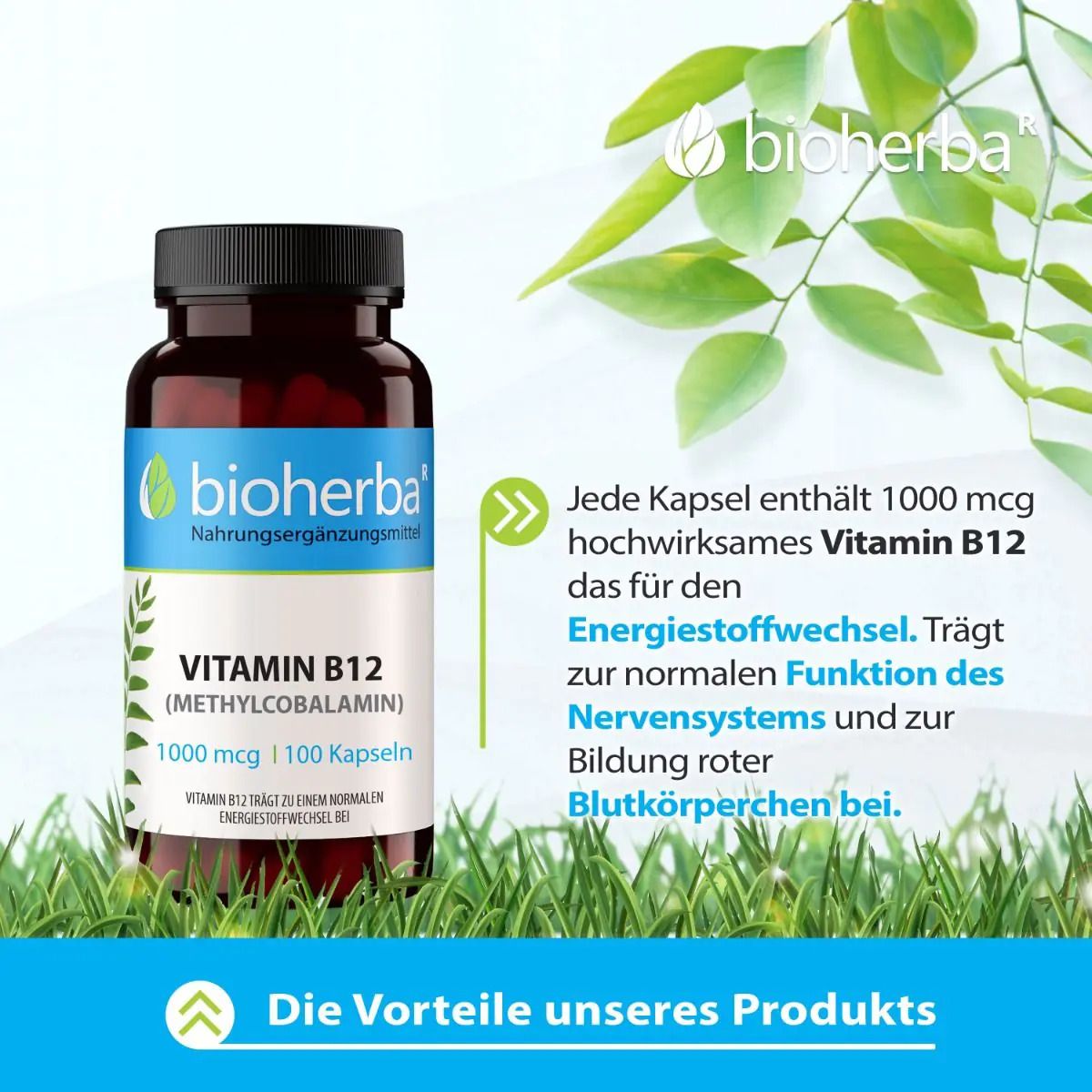 Bioherba Vitamin B12 Kapseln in Braunglasflasche, umgeben von Gras und Blättern.