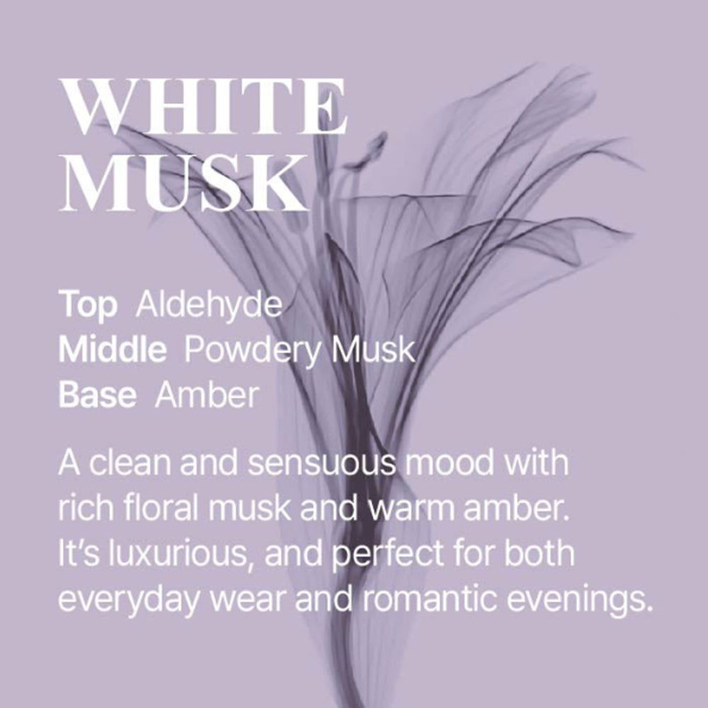 Grafik mit Duftnoten von White Musk: Kopfnote Aldehyd, Herznote Puder-Moschus, Basisnote Amber.