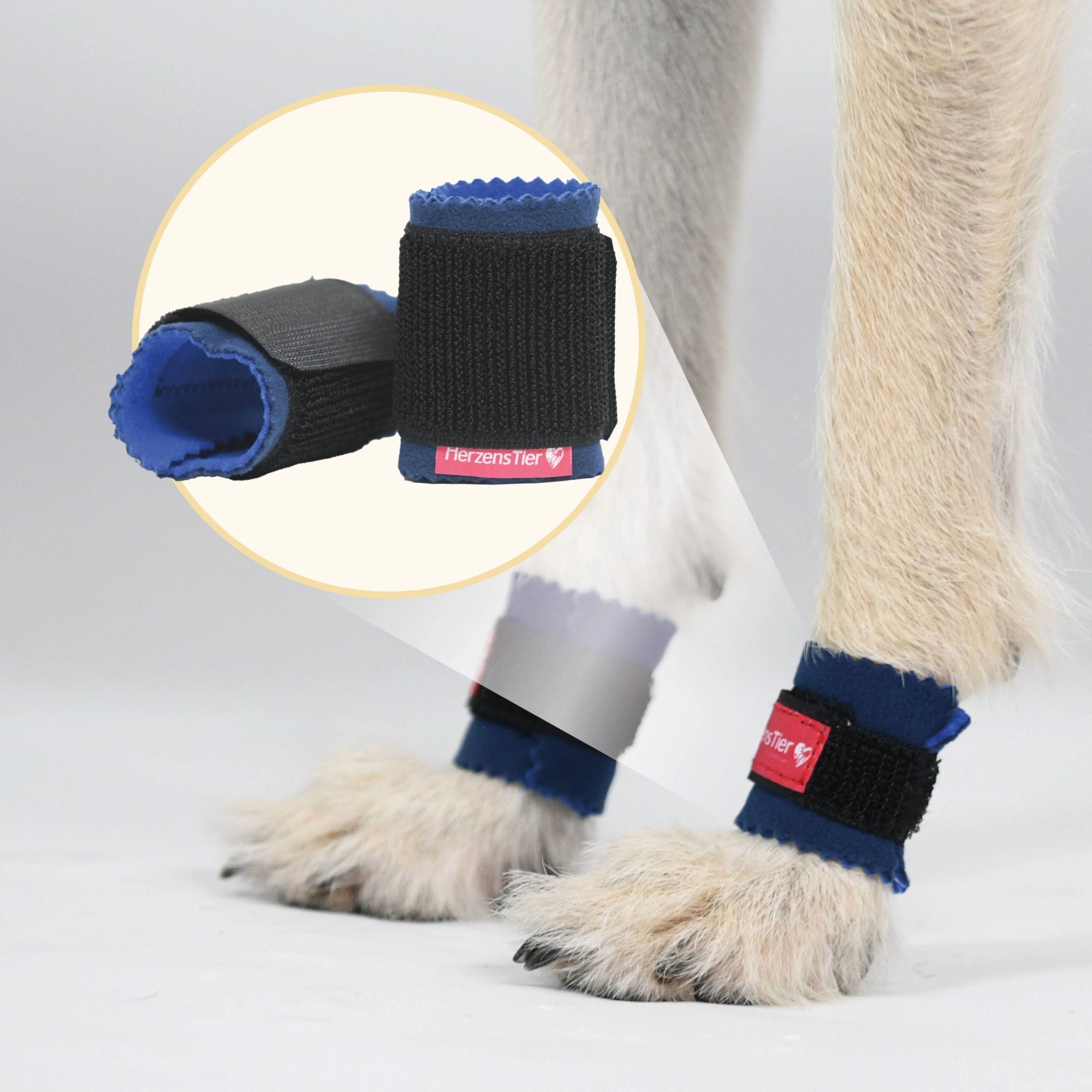 Hundebein mit blauer Bandage. Nahaufnahme: Bandage mit Klettverschluss und Logo. Produktname: HerzensTier. Zusätzliche Bandage daneben.