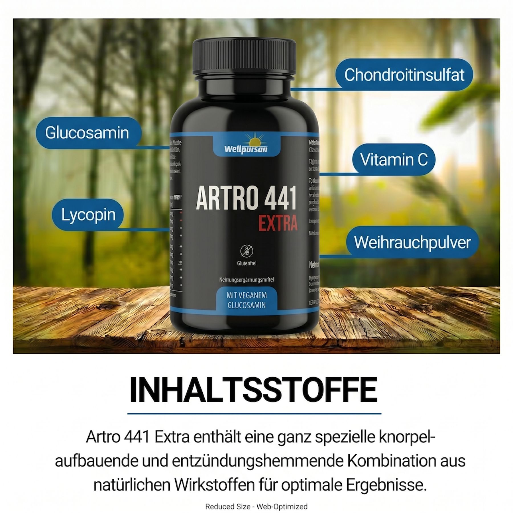 Wellpursan Artro 441 Extra