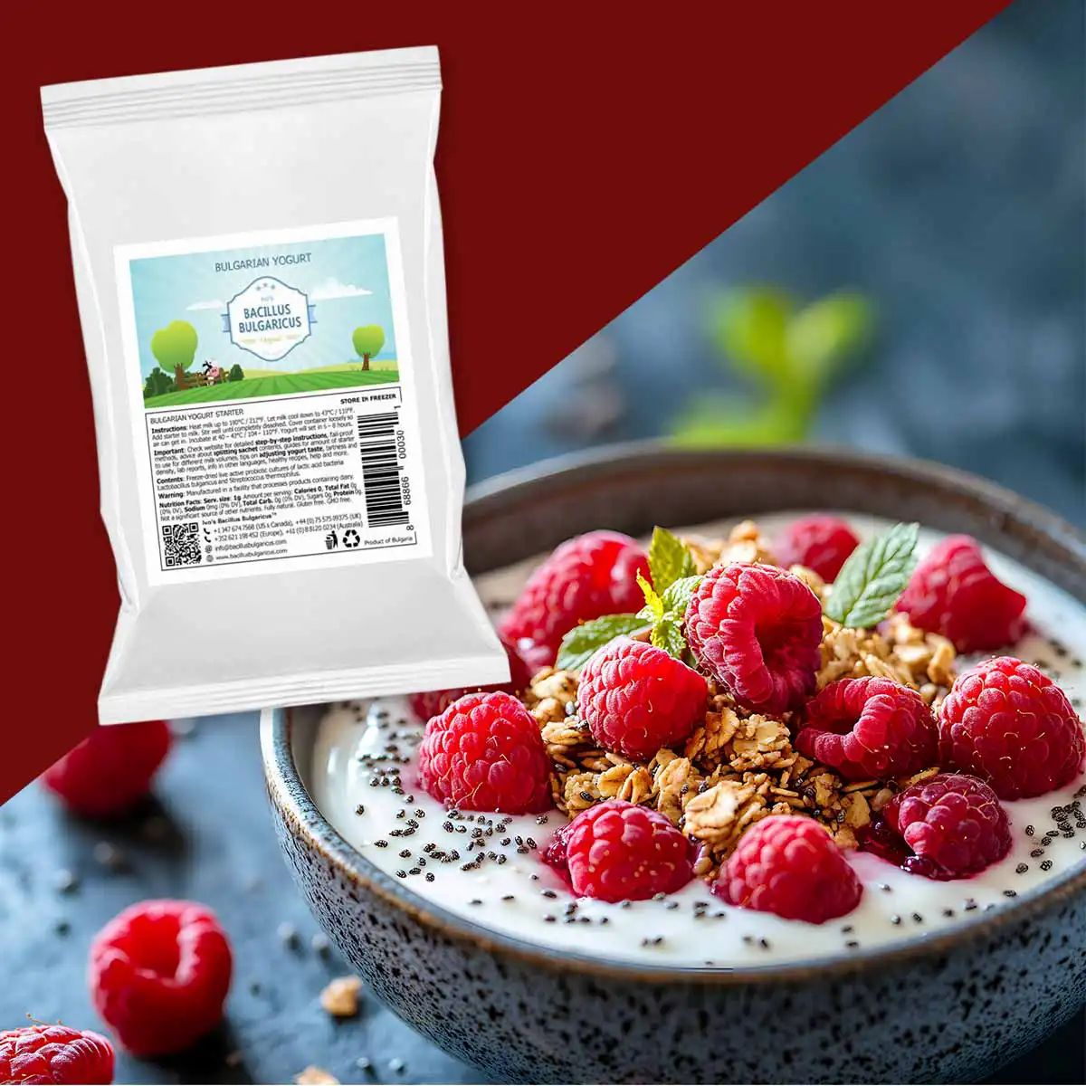 BACILLUS BULGARICUS Bulgarische Joghurt-Kulturen