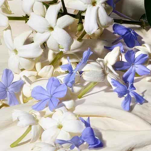 Weiße und blaue Blüten auf hellem Stoff. Verschiedene Größen und Formen.