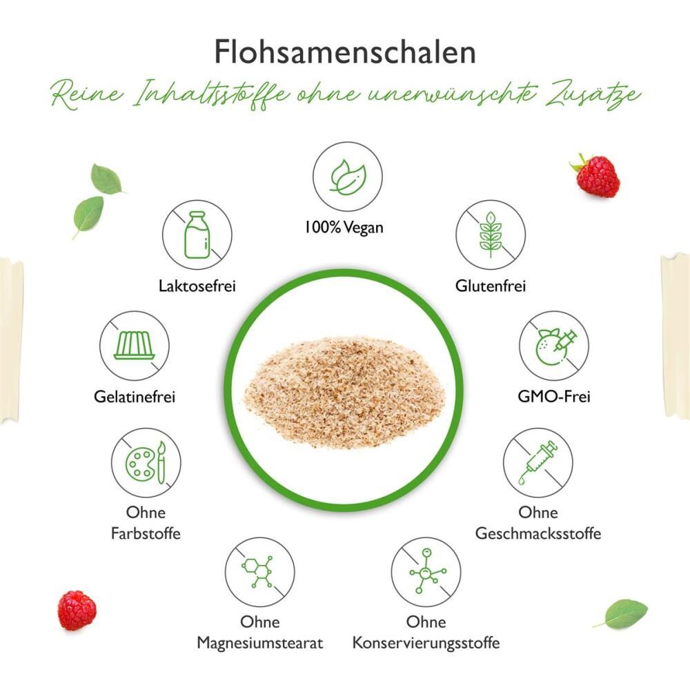 vit4ever Flohsamenschalen 1100 g Pulver