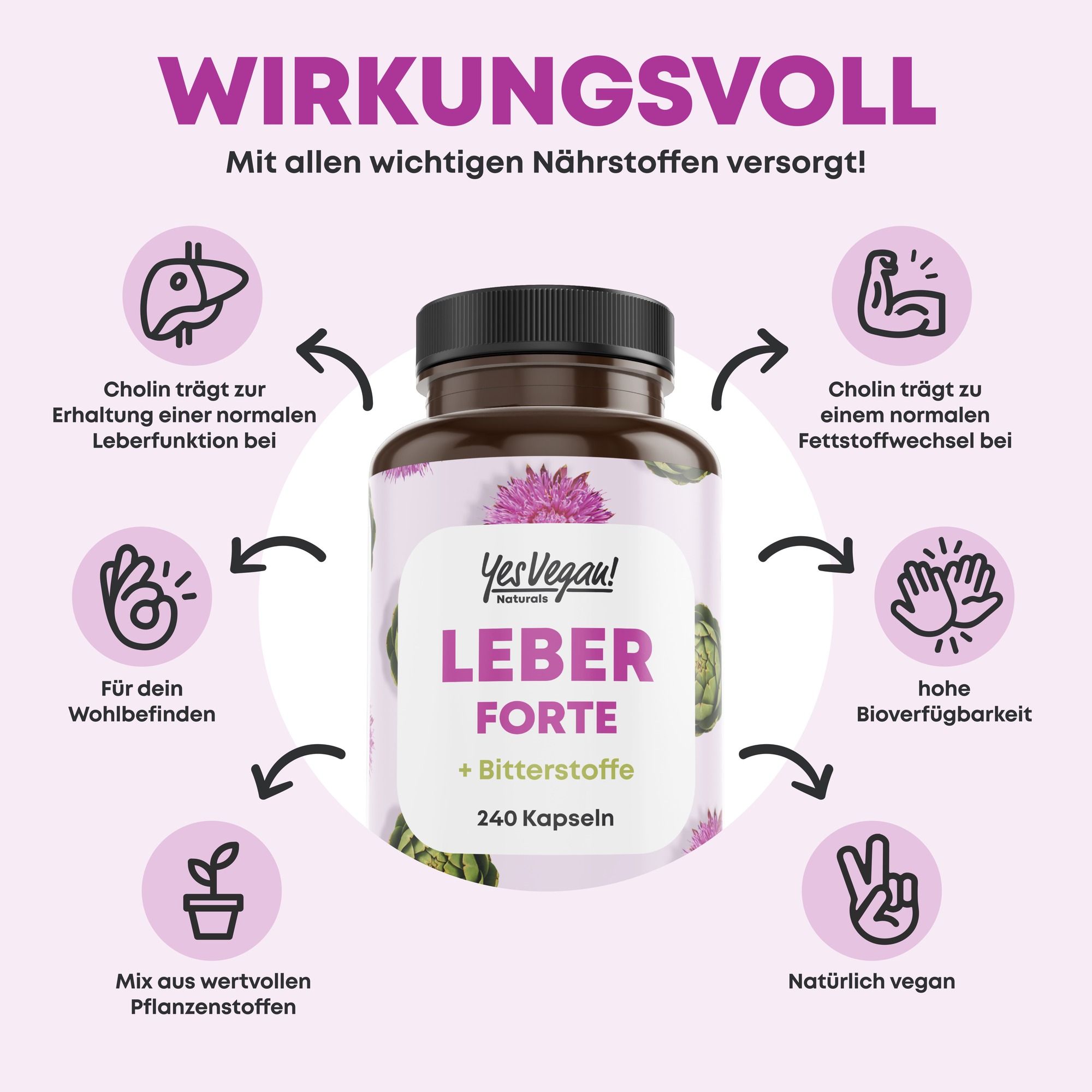 Flasche mit Leber Forte Kapseln, 240 Stück. Mit Symbolen für Leberfunktion, Wohlbefinden, Pflanzenstoffe, Fettstoffwechsel, Bioverfügbarkeit und vegan.