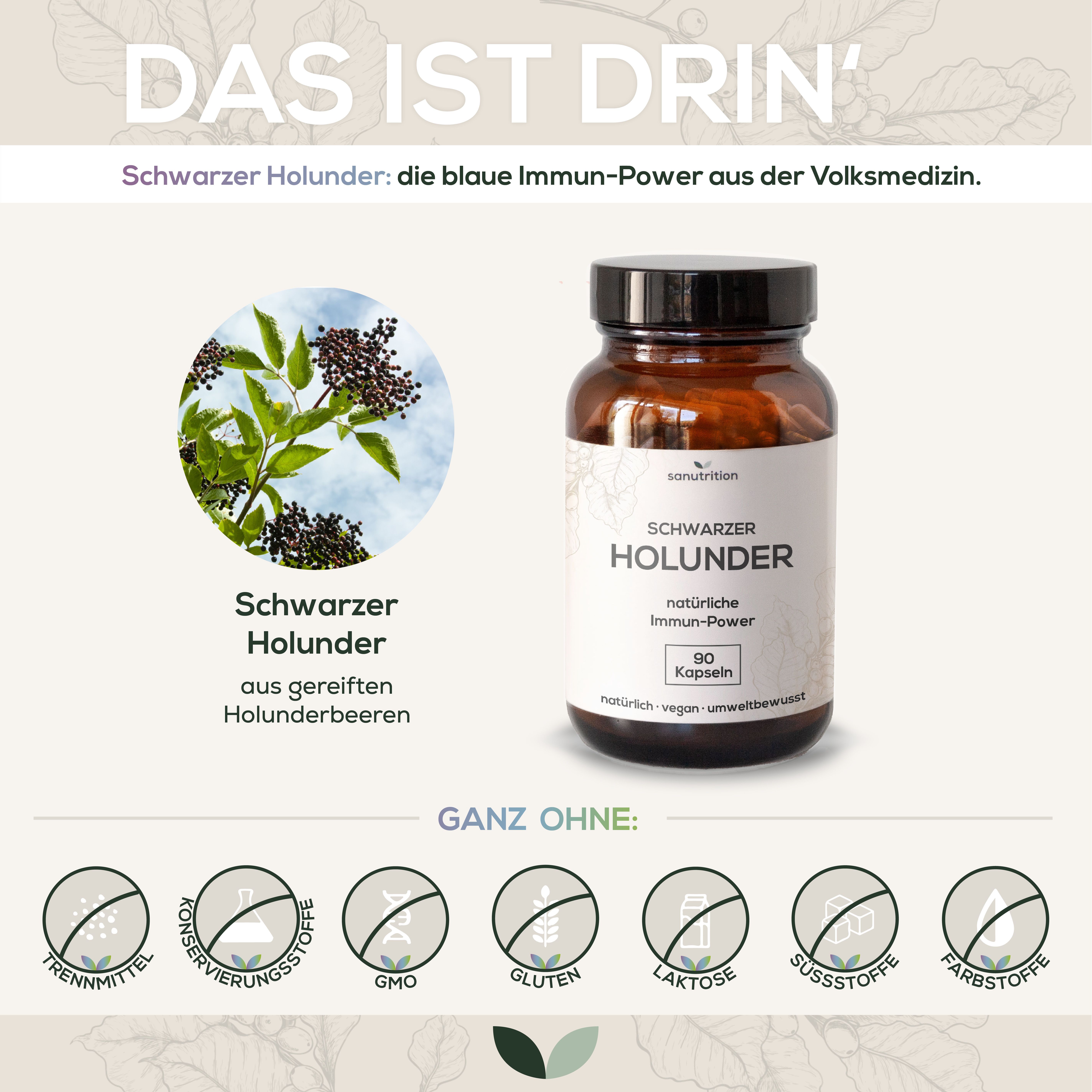 Produktflasche neben Illustrationen. Text: 'Schwarzer Holunder', '90 Kapseln'. Kreisförmige Symbole ohne Zusatzstoffe.