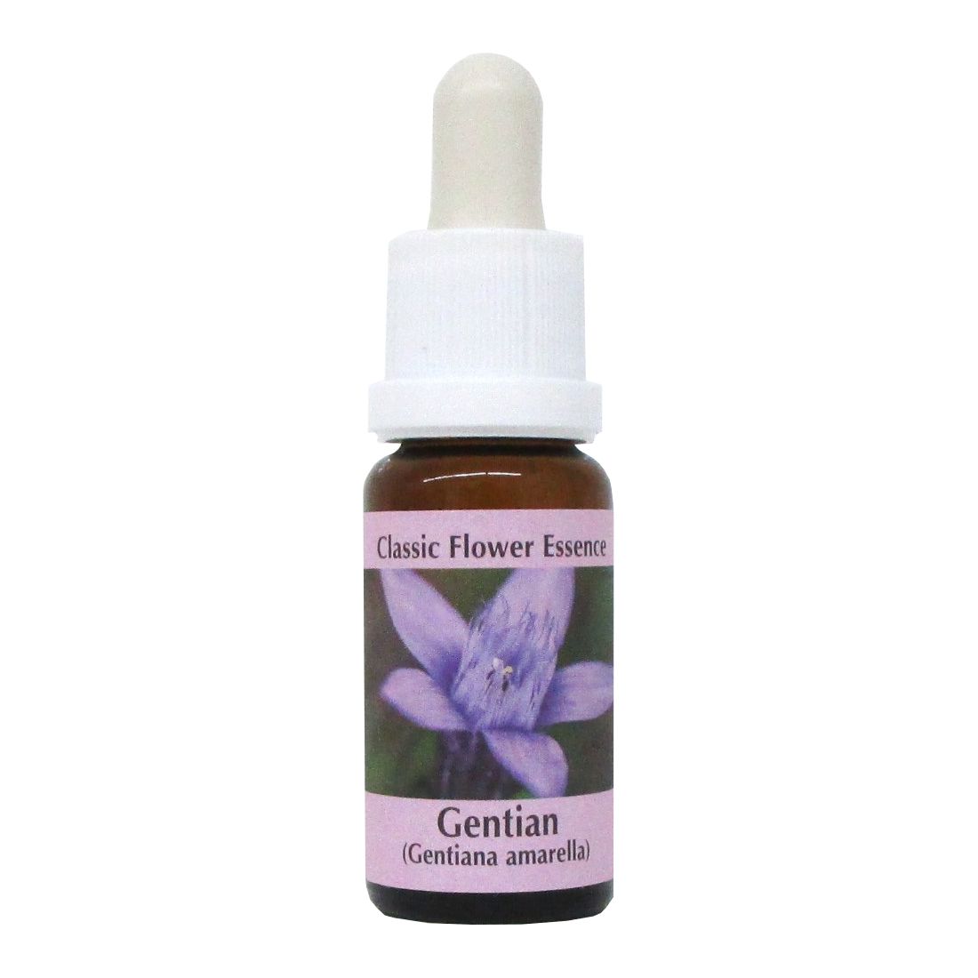 PHI Essences - Gentian Bachblüte Nr. 12
