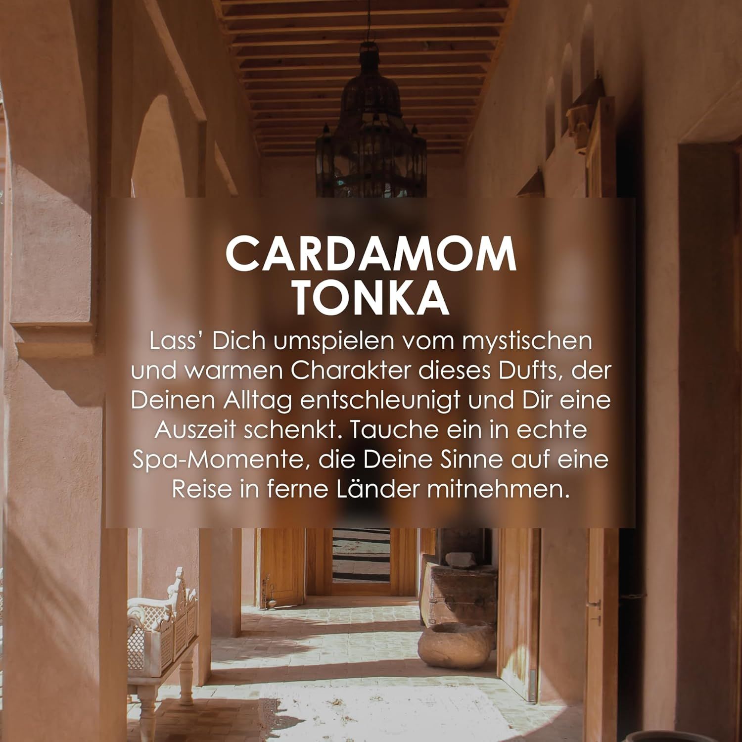 Innenraum mit Türen und Deckenleuchte. Text: Cardamom Tonka.