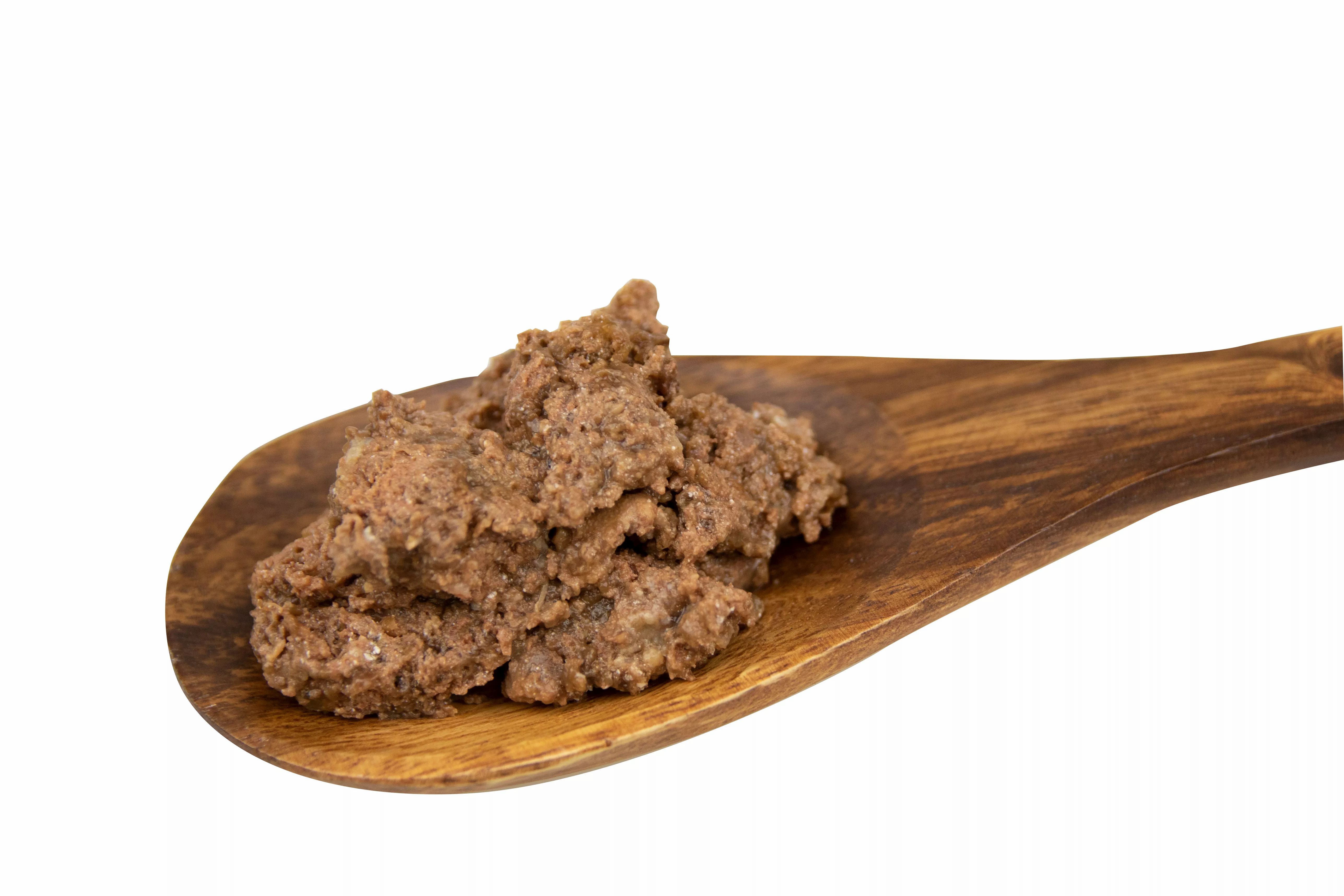 Hundefutter auf einem Holzlöffel. Nahaufnahme. Produkt ist braun und breiartig.