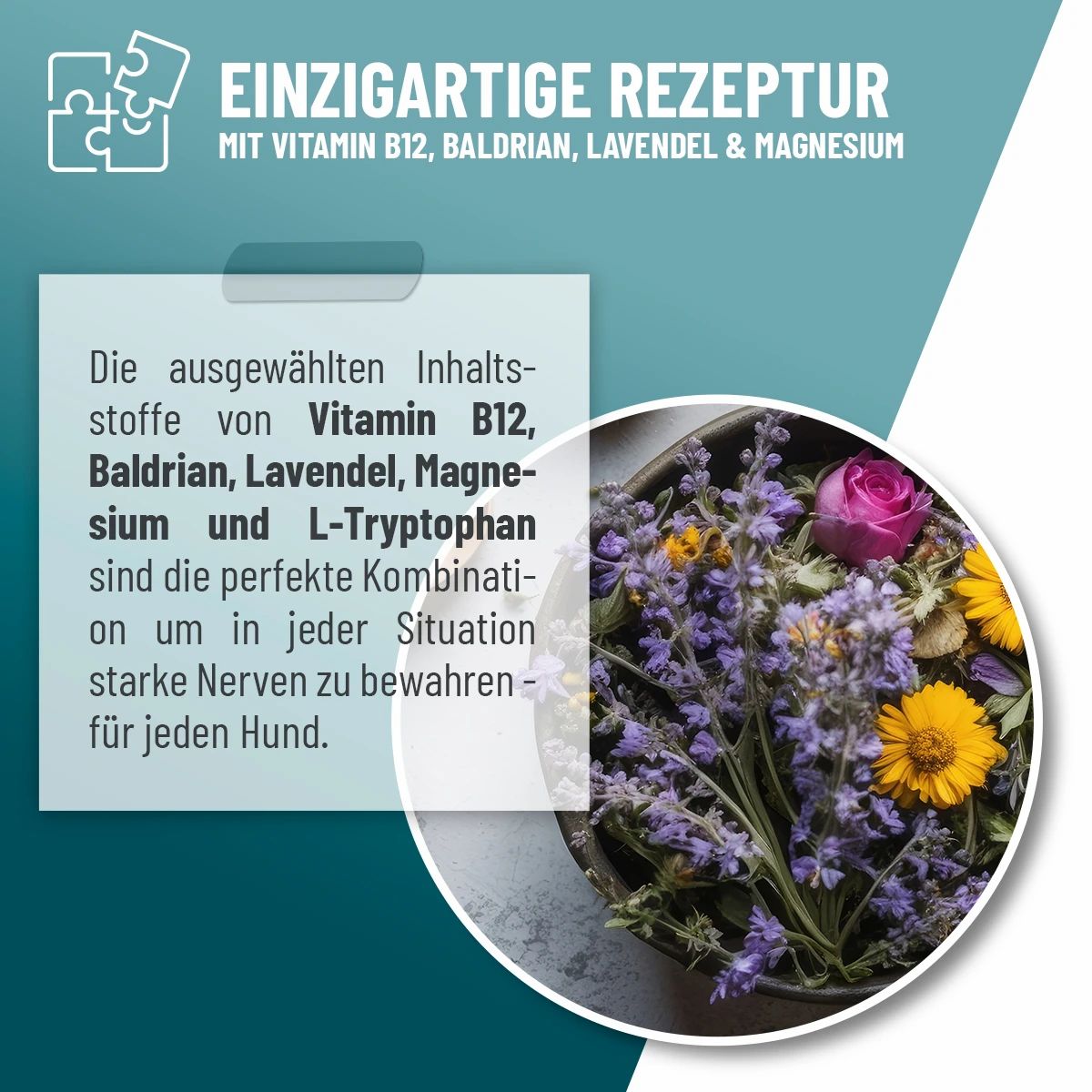 Blumen in einer Schale. Text: Einzigartige Rezeptur mit Vitamin B12, Baldrian, Lavendel & Magnesium. Perfekte Kombination für Nerven.