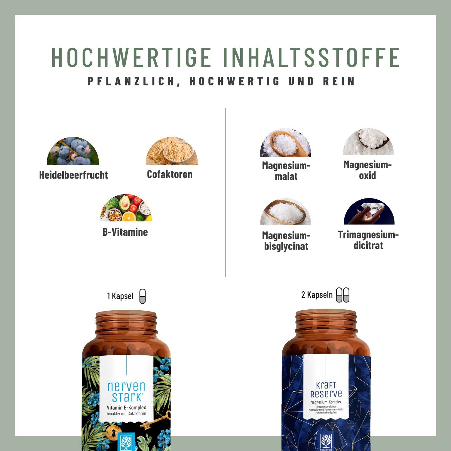 Infografik mit Zutaten: Heidelbeerfrucht, Cofaktoren, B-Vitamine, Magnesiummalat, -oxid, -bisglycinat, -dicitrat. Zwei Kapseln und Flaschen.
