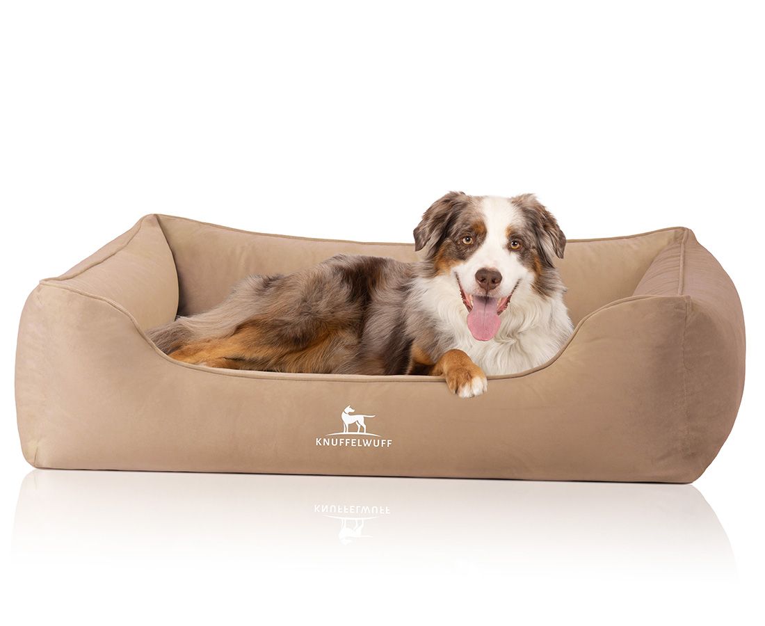 Beigefarbenes orthopädisches Hundebett. Ein Hund liegt entspannt darin. Knuffelwuff Logo unten.
