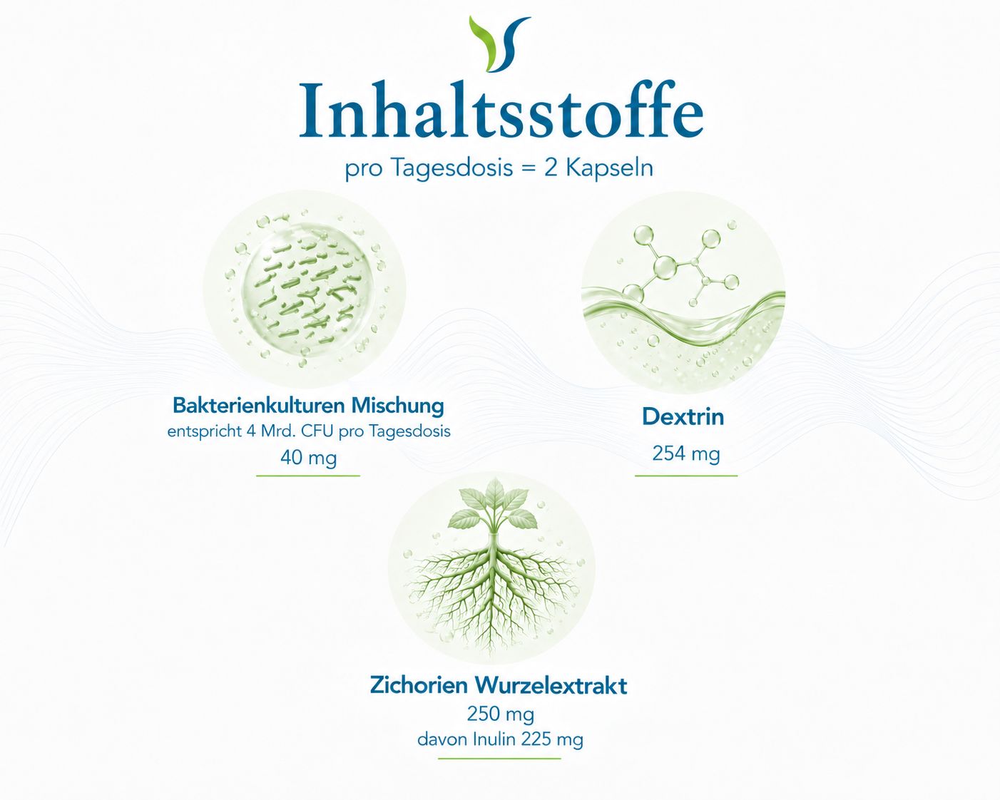 Grafik mit Inhaltsstoffen: Bakterienkulturen Mischung (40 mg), Dextrin (254 mg), Zichorien Wurzel­extrakt (250 mg, davon Inulin 225 mg).