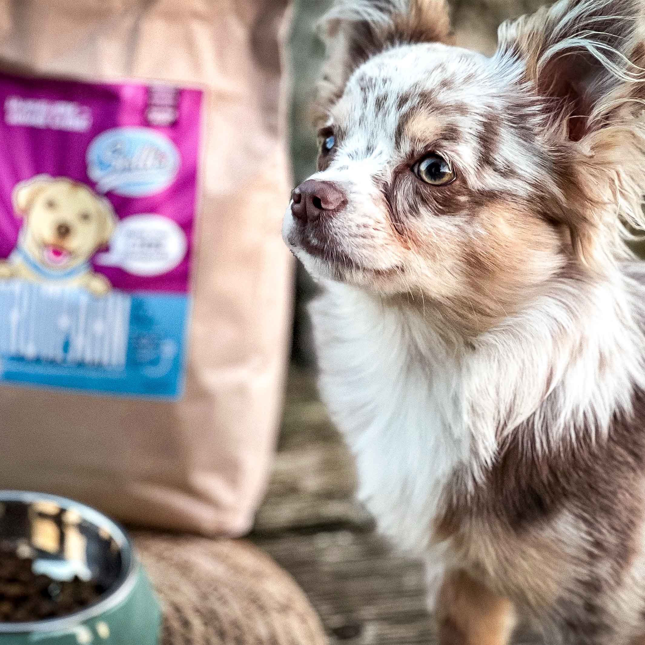 Sollis Welpenfutter für Hunde kleiner Rassen - Trockenfutter Truthahn-Minis