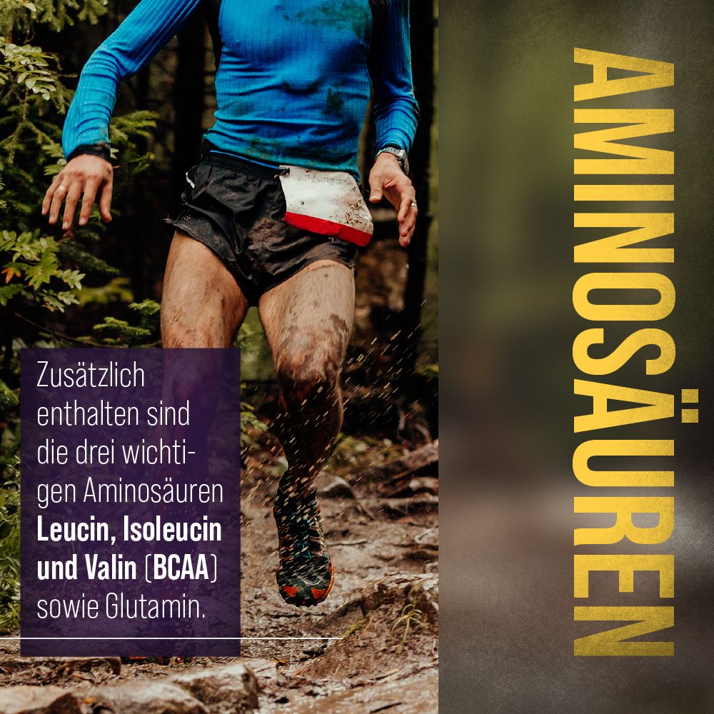 Sanct Bernhard Sport Regenerationsturbo +BCAA