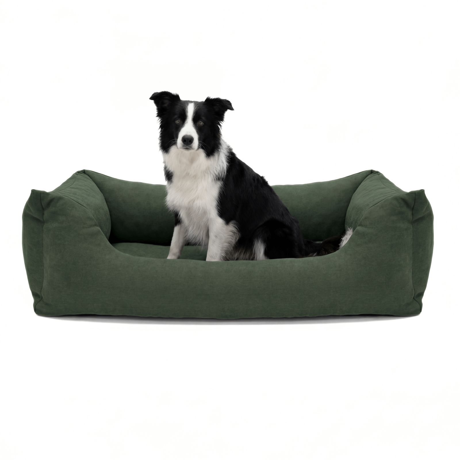 Grünes Hundebett mit Hund. Hund sitzt im Bett. Auf hellem Hintergrund.