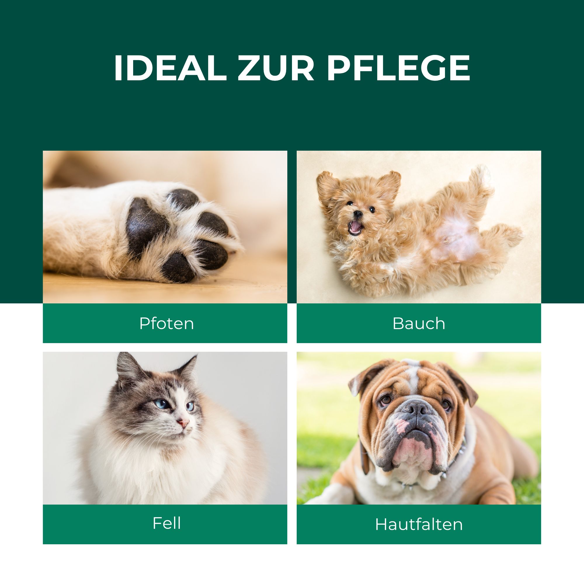 SILBERKRAFT Kolloidales Silberspray für Haustiere