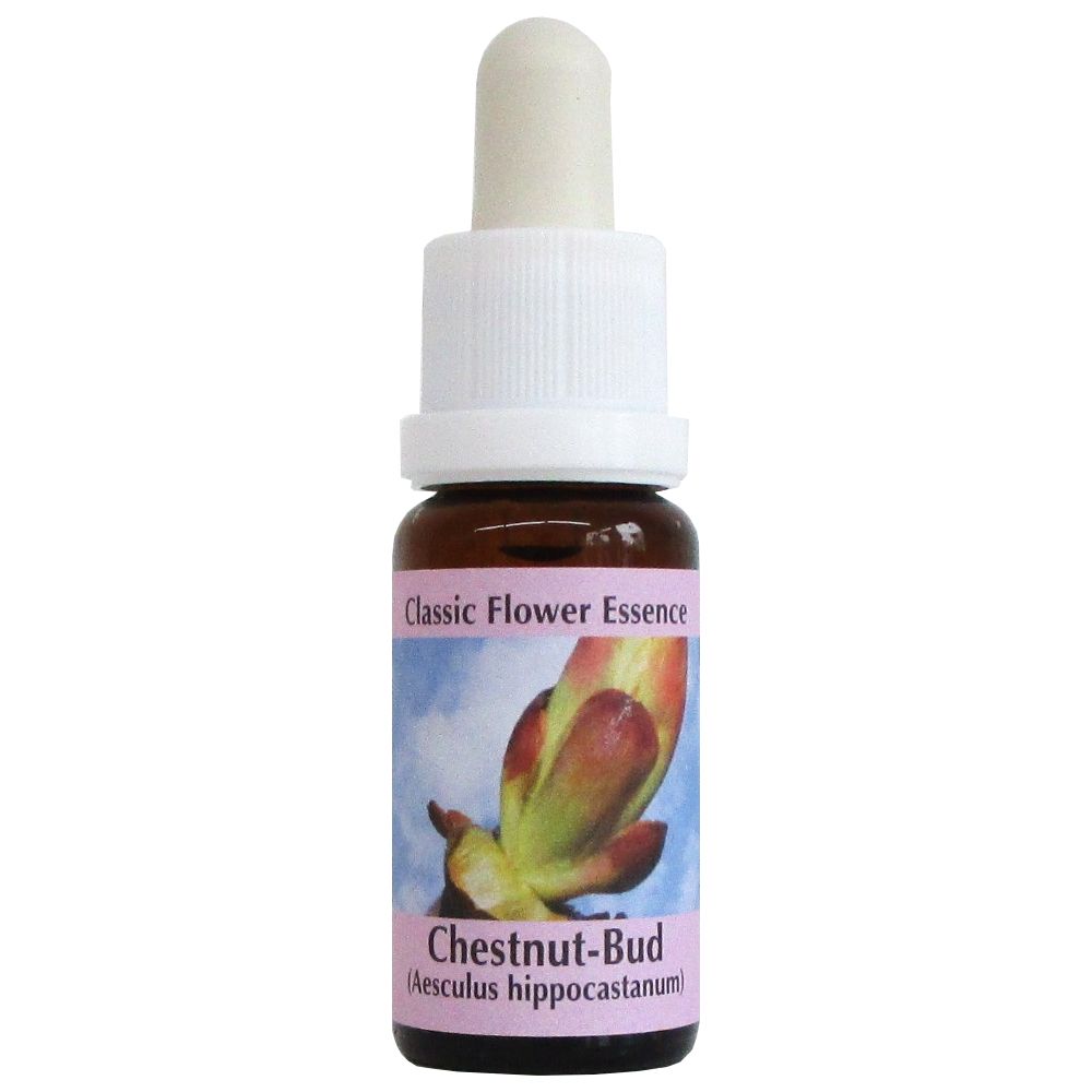 PHI Essences - Chestnut Bud Bachblüte Nr. 7