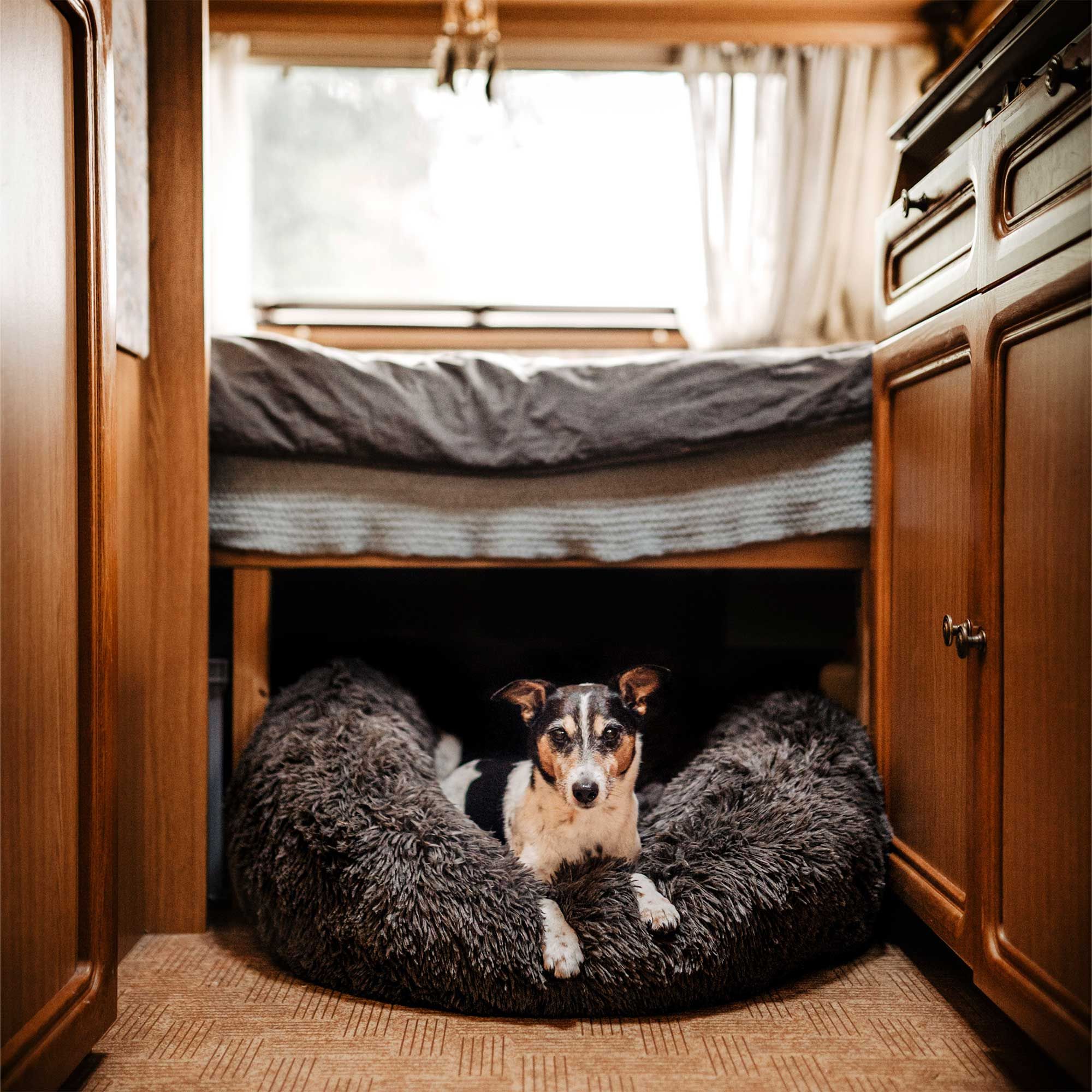 100x100x30cm - District 70 FUZZ - Hundebett in Donutform - Donutbett - Hundekissen