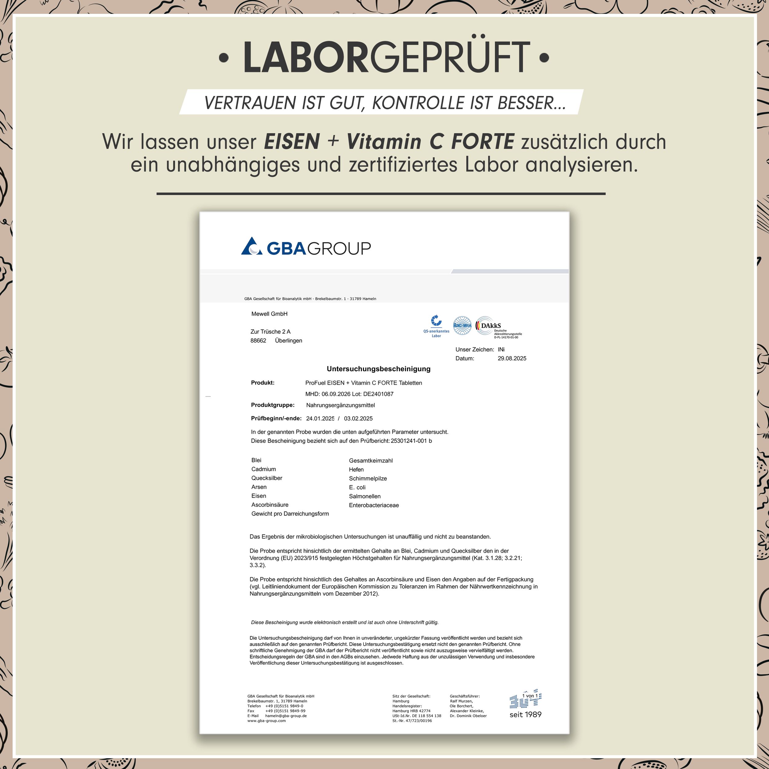 ProFuel - EISEN Tabletten mit natürlichem Vitamin C, 40mg Eisen & 40mg Vitamin C - 540 Kapseln
