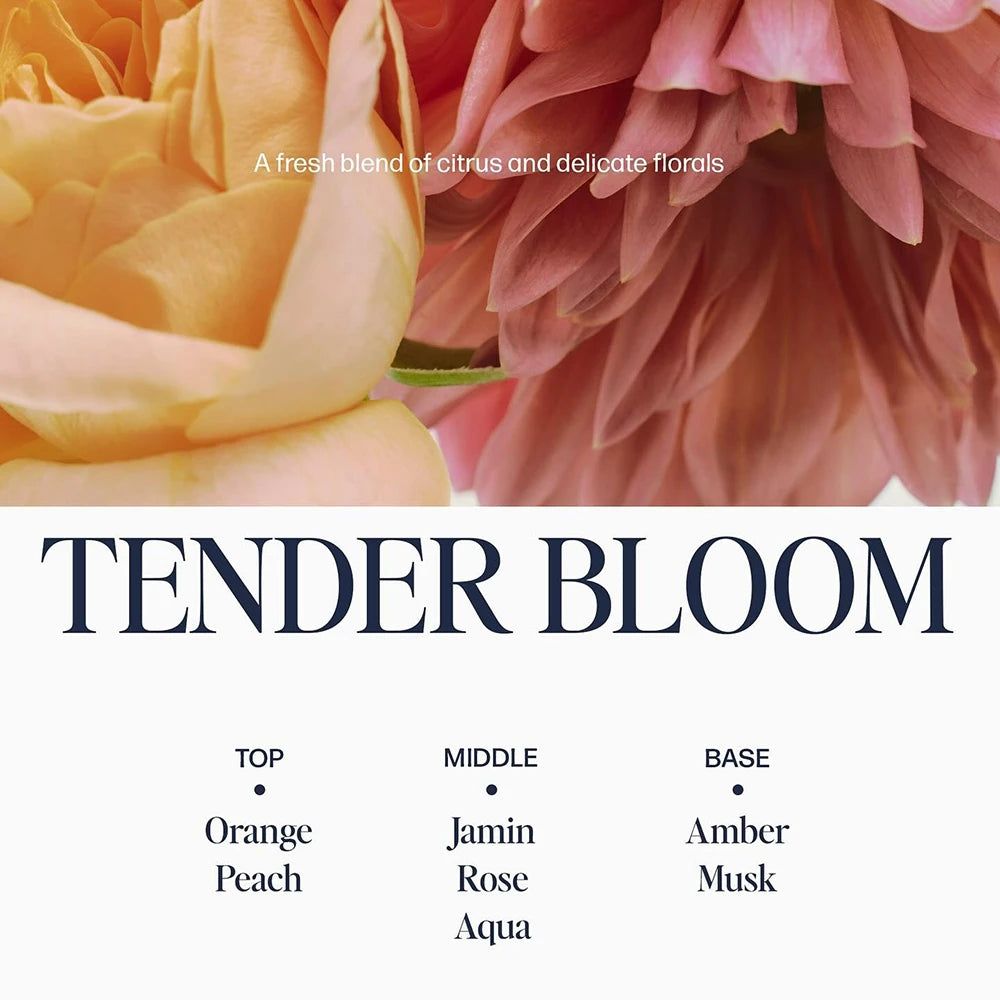 Blumen-Nahaufnahme über Text 'TENDER BLOOM'. Duftnoten: Orange, Pfirsich, Jasmin, Rose, Aqua, Amber, Moschus.