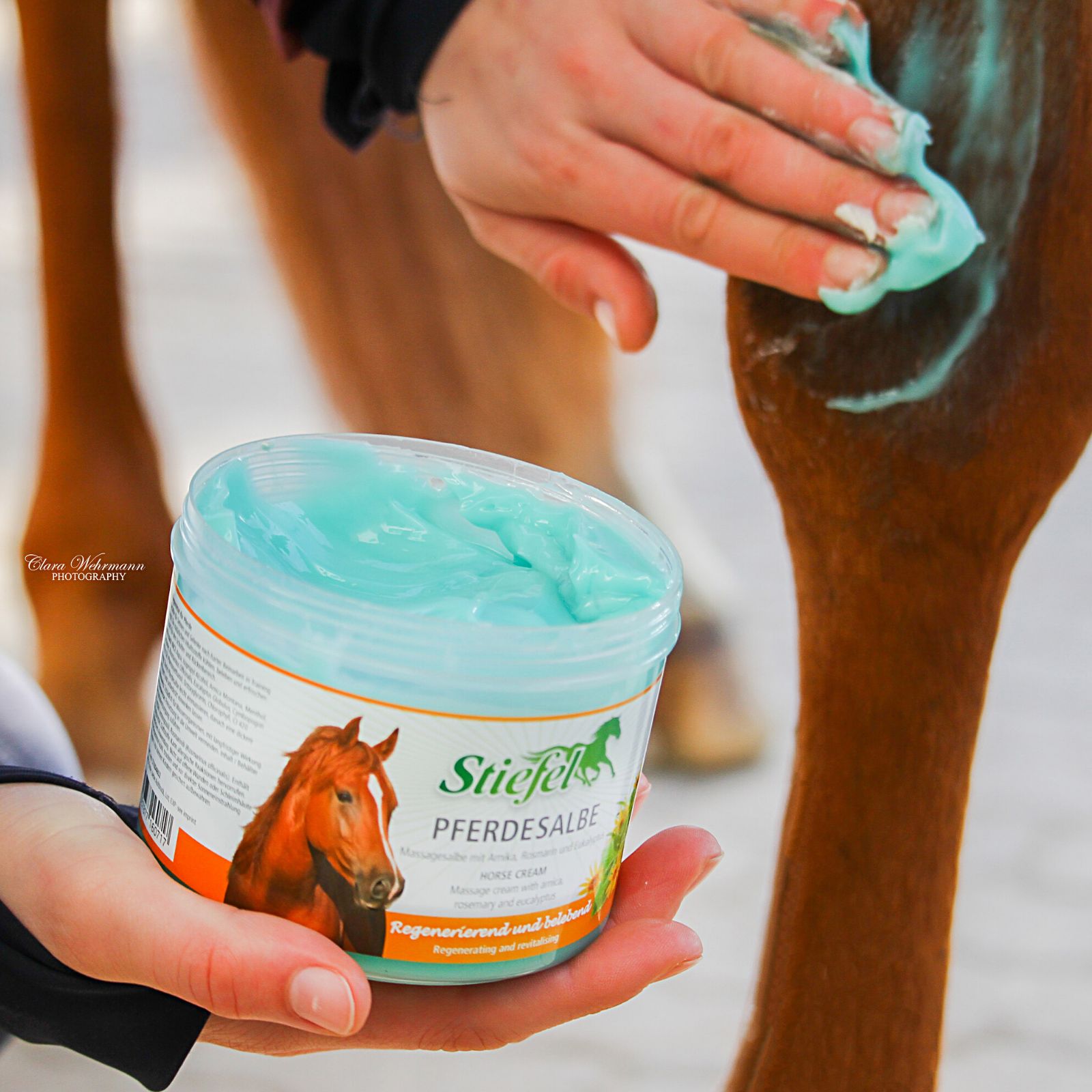 Person hält einen geöffneten Tiegel Pferde-Salbe. Blaue Creme wird auf ein Pferdebein aufgetragen. Stiefel-Logo sichtbar.