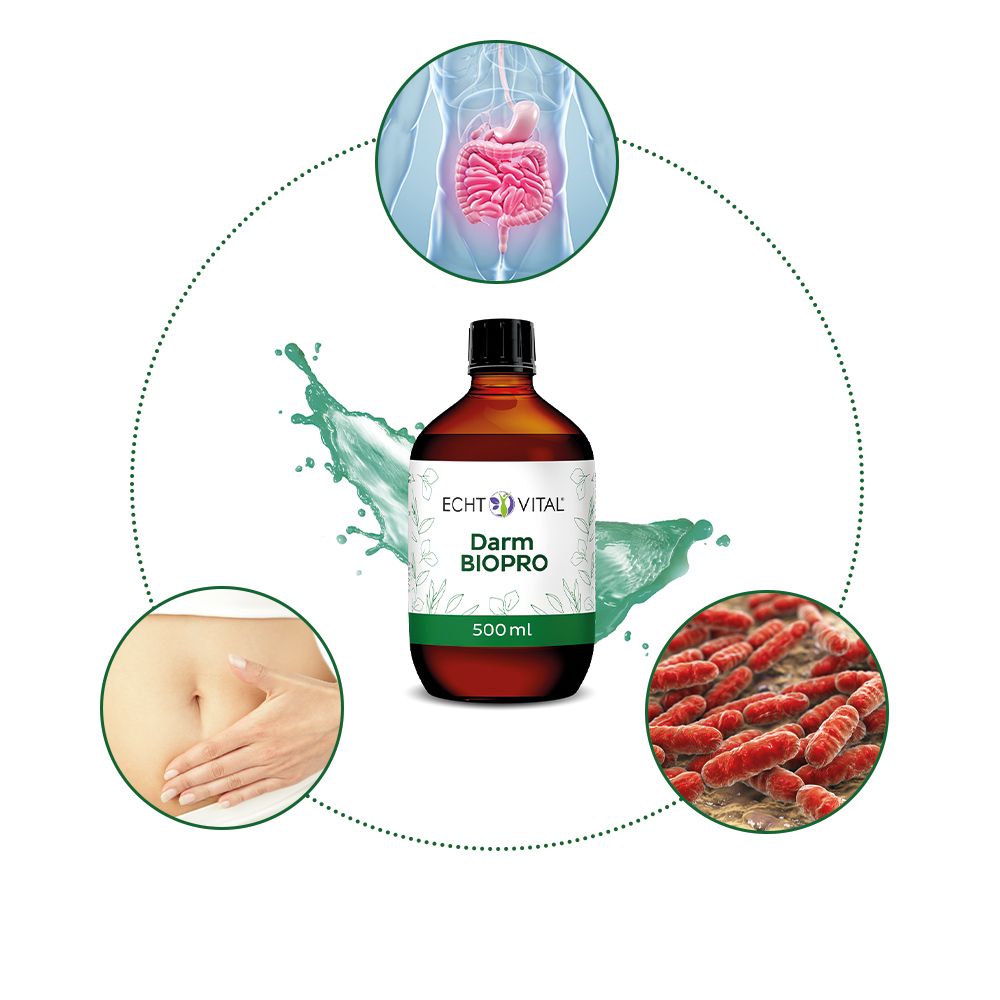 Echt Vital Darm Premium-Paket
