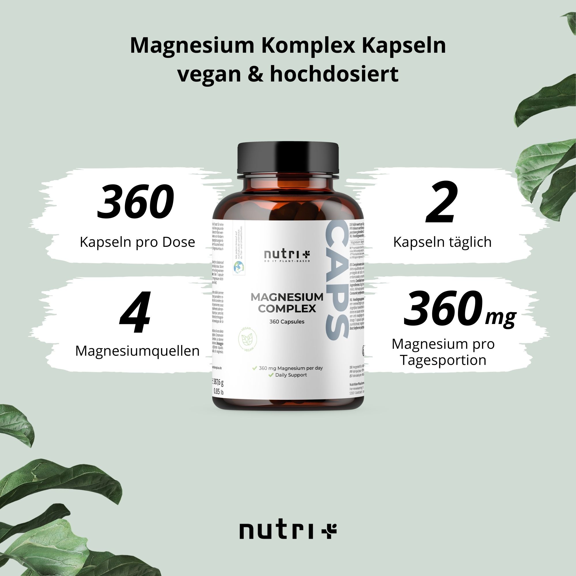 Grafik mit Flasche nutri+ Magnesium Complex. Text: 360 Kapseln pro Dose, 2 Kapseln täglich, 4 Magnesiumquellen, 360mg Magnesium.