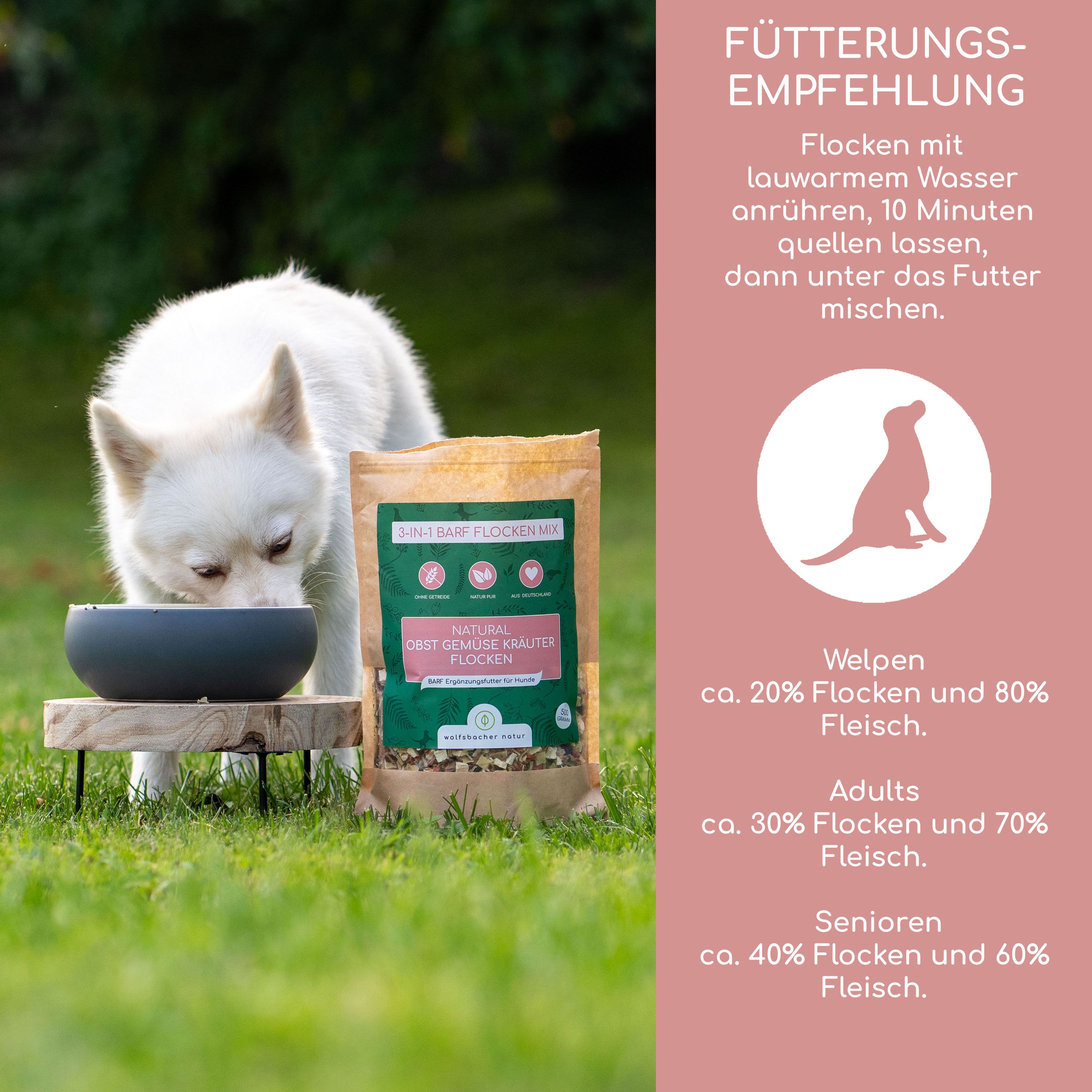 Weißer Hund frisst aus einer Schüssel. Daneben eine Packung Wolfsbacher Natur Flocken. Fütterungsempfehlung für Welpen, Erwachsene, Senioren.