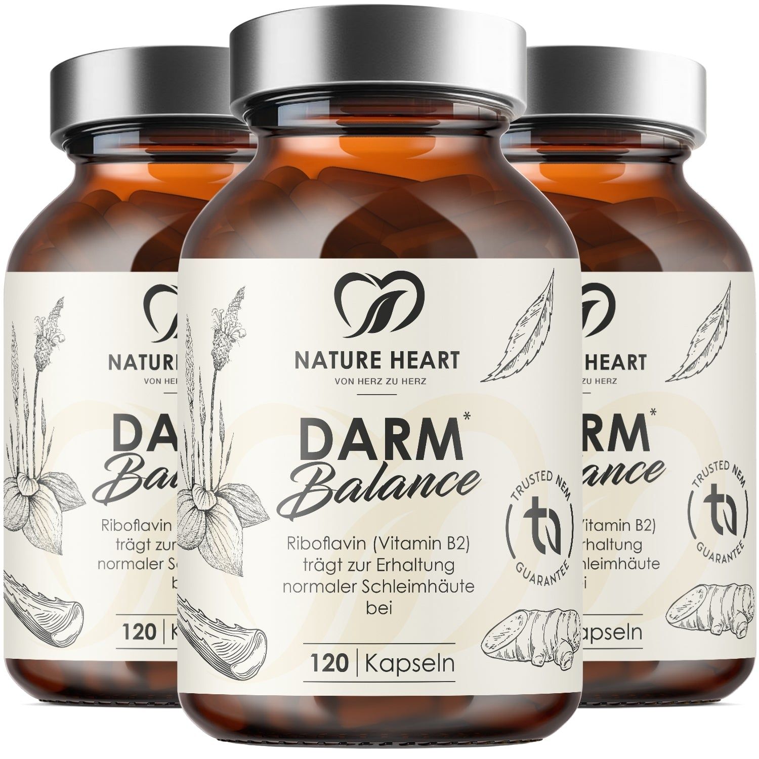 Nature Heart Darm Balance 3x120 St Kapseln