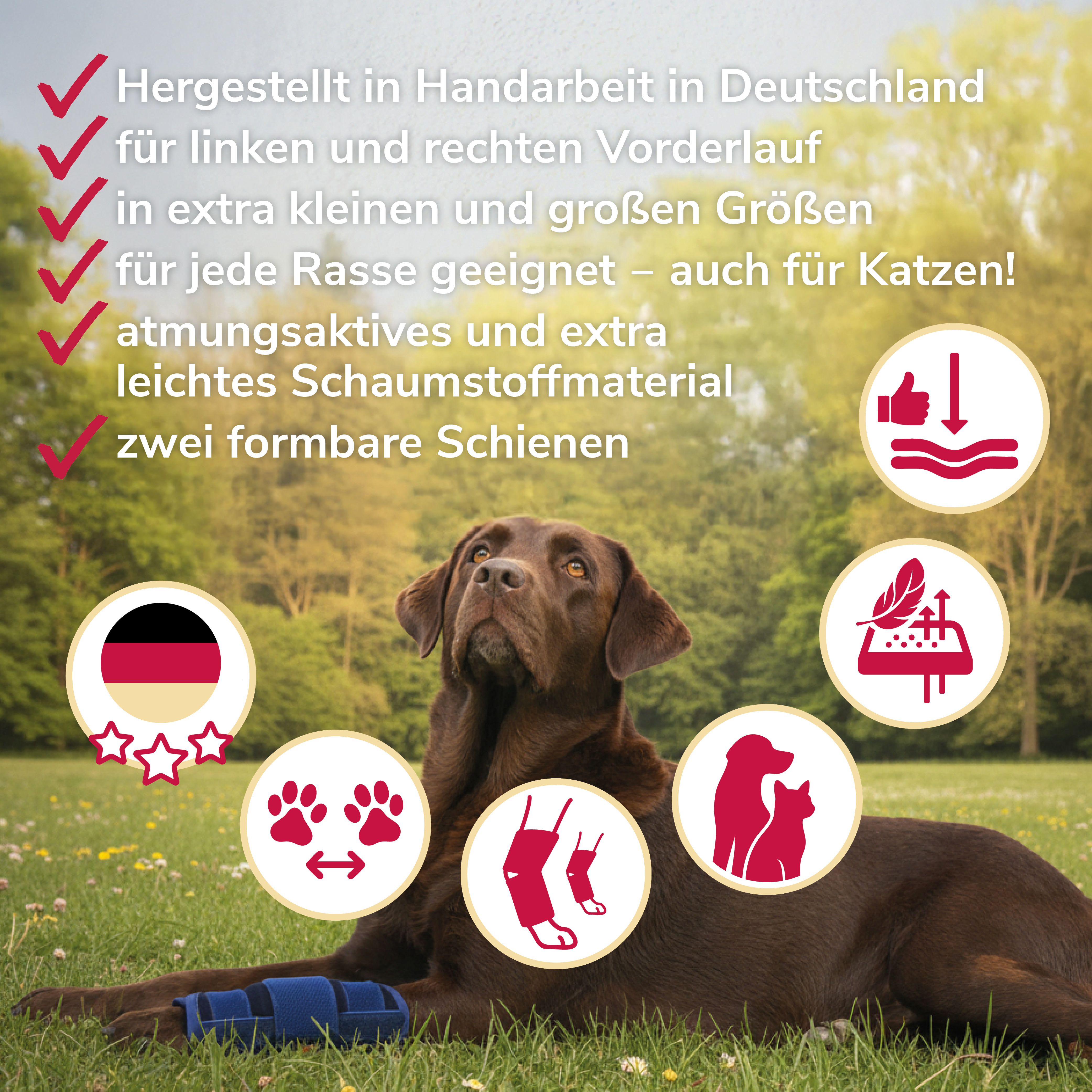 Hund liegt im Gras mit Karpalgelenkbandage. Text: Hergestellt in Deutschland, für Vorderläufe, für alle Rassen, für Katzen.