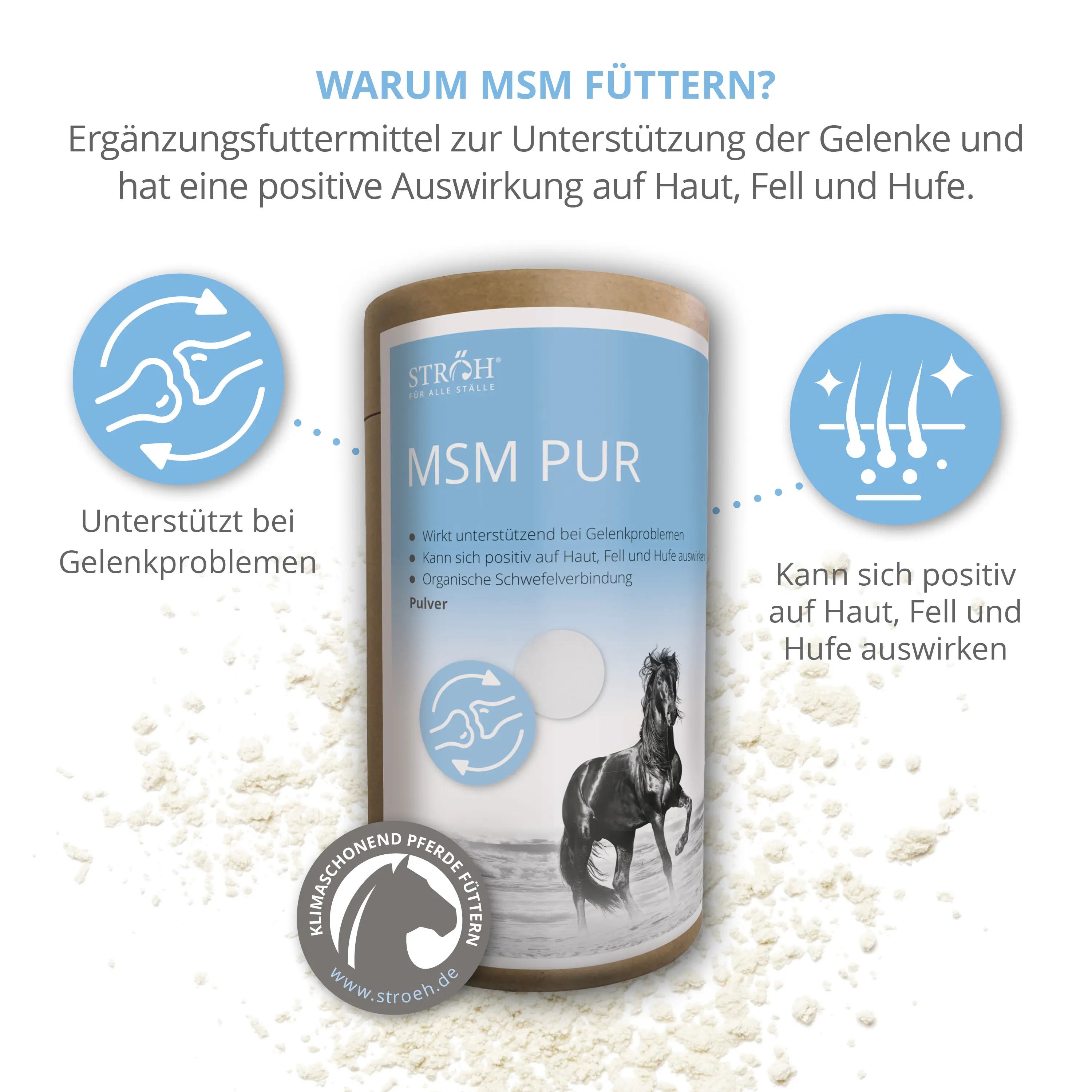 Zylindrische Dose mit MSM PUR, Pferd-Abbildung. Text: Ergänzungsfuttermittel. Pulver. Auf weißem Pulver. Hintergrund: Text und Grafiken.