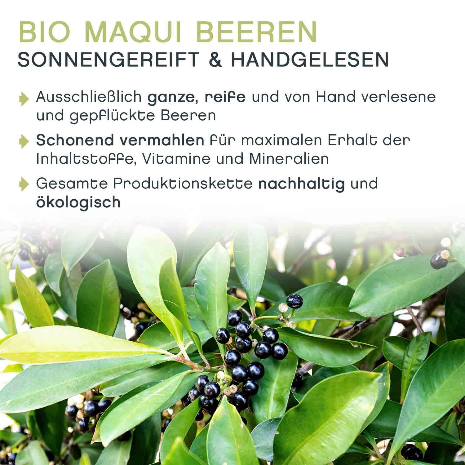 tea exclusive - Maqui Beeren Pulver bio
