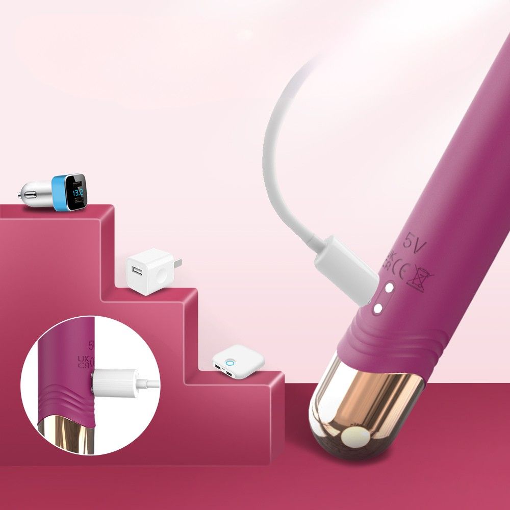 Lila Vibrator mit goldfarbener Spitze. Ladekabel und Zubehör. Auf rotem Podest.