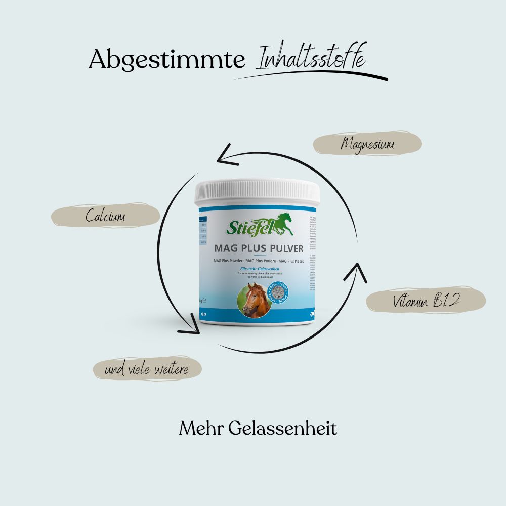 Runde Dose Stiefel MAG Plus Pulver. Beschriftung mit Produktname, Inhaltsstoffen und Pferdeabbildung. Pfeile zeigen Inhaltsstoffe an.