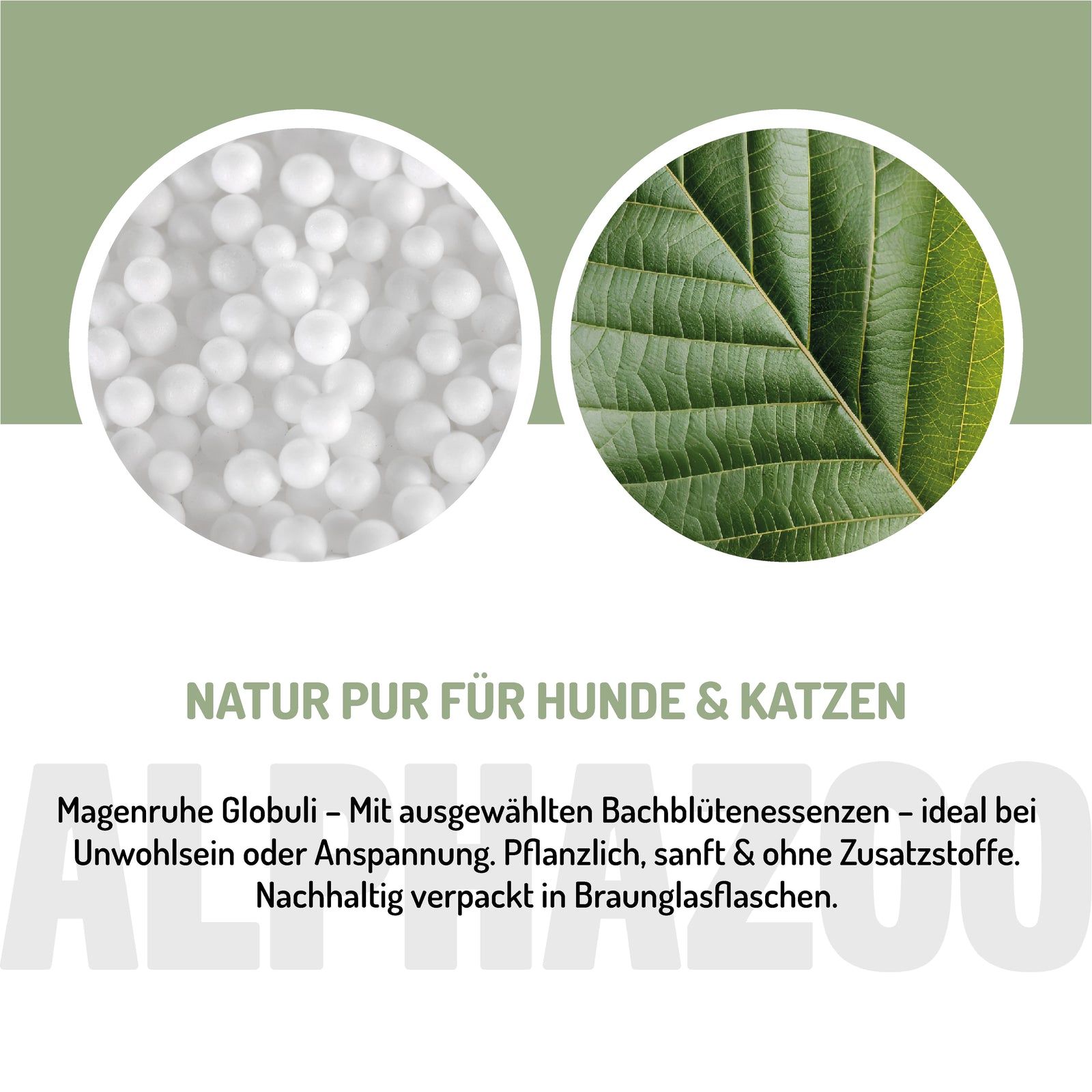Nahaufnahme von Globuli und einem grünen Blatt. Natur pur für Hunde & Katzen.
