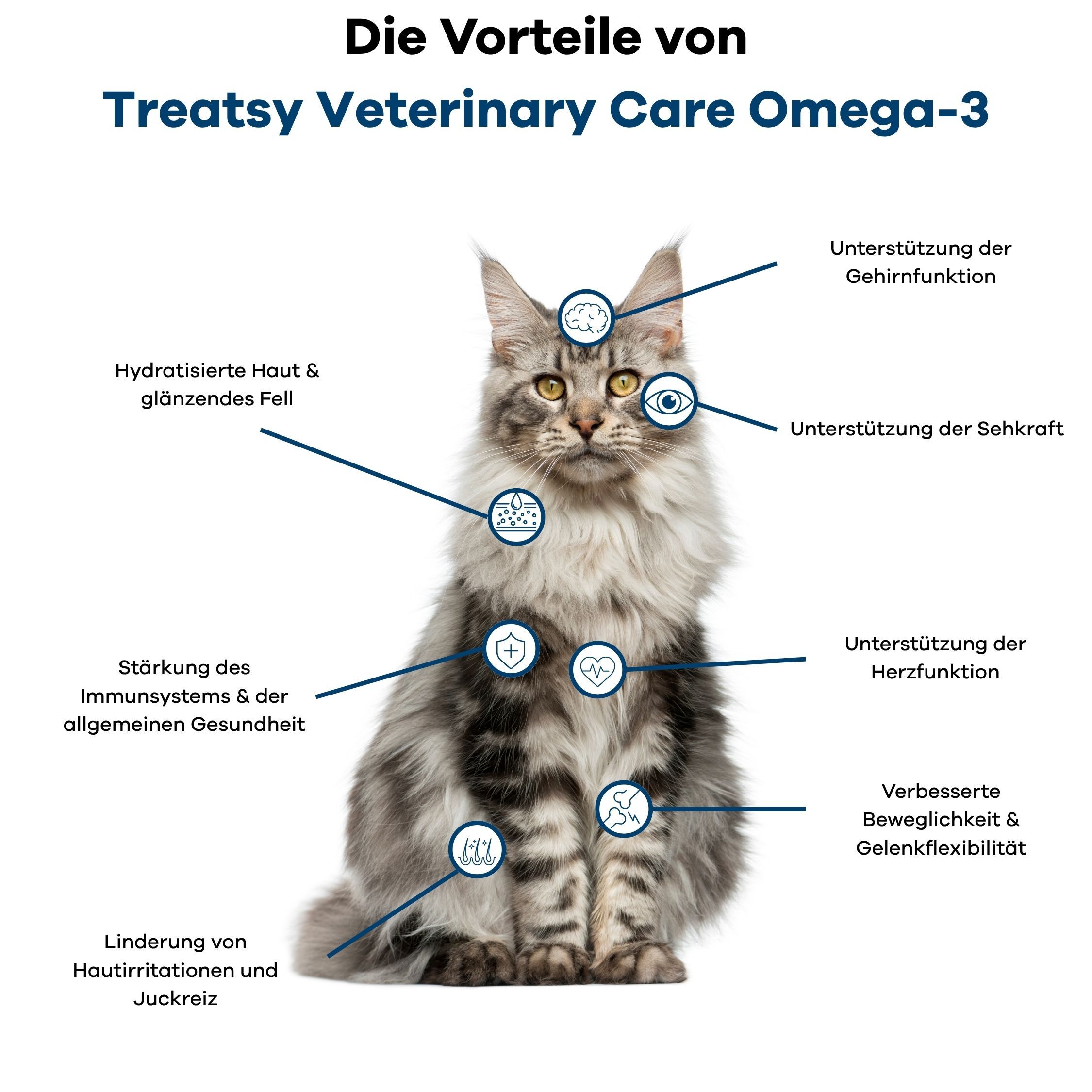 Eine Katze mit Markierungen, die die Vorteile von Omega-3 für Gesundheit und Fell hervorheben.