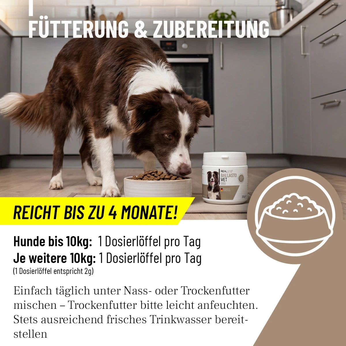 Hund frisst aus Napf. Dose BallastoVet. Text: Fütterung & Zubereitung, reicht bis zu 4 Monate. Dosierung: 1 Dosierlöffel pro Tag. Hintergrund: Küche.