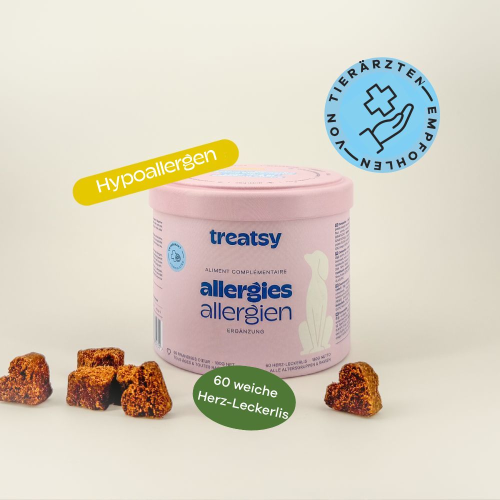 Rosa Dose mit „Treatsy Allergies“ für Hunde. Text: Allergien, unterstützt die Verdauung. Hypoallergen-Label.