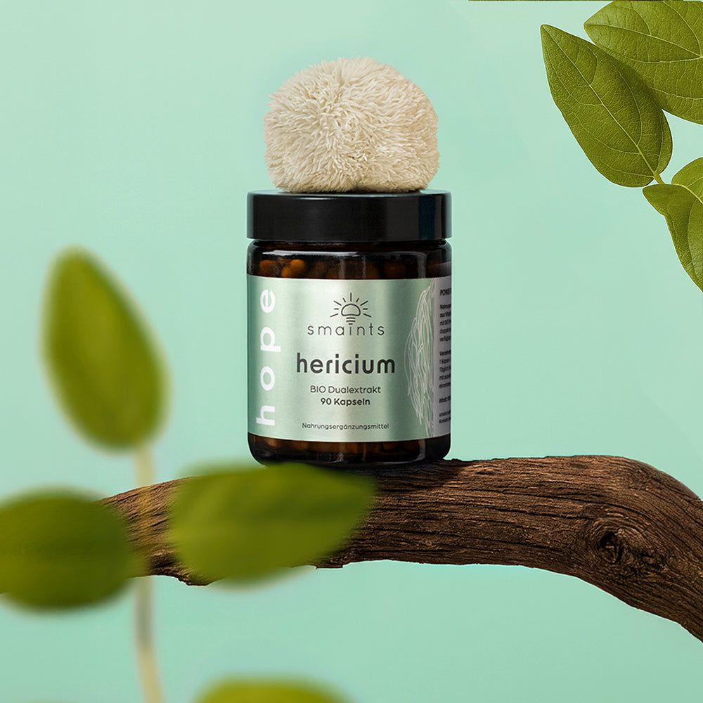 smaints® Hericium Kapseln auf einem Ast, mit einem Pilz oben drauf. Grüne Blätter im Hintergrund.